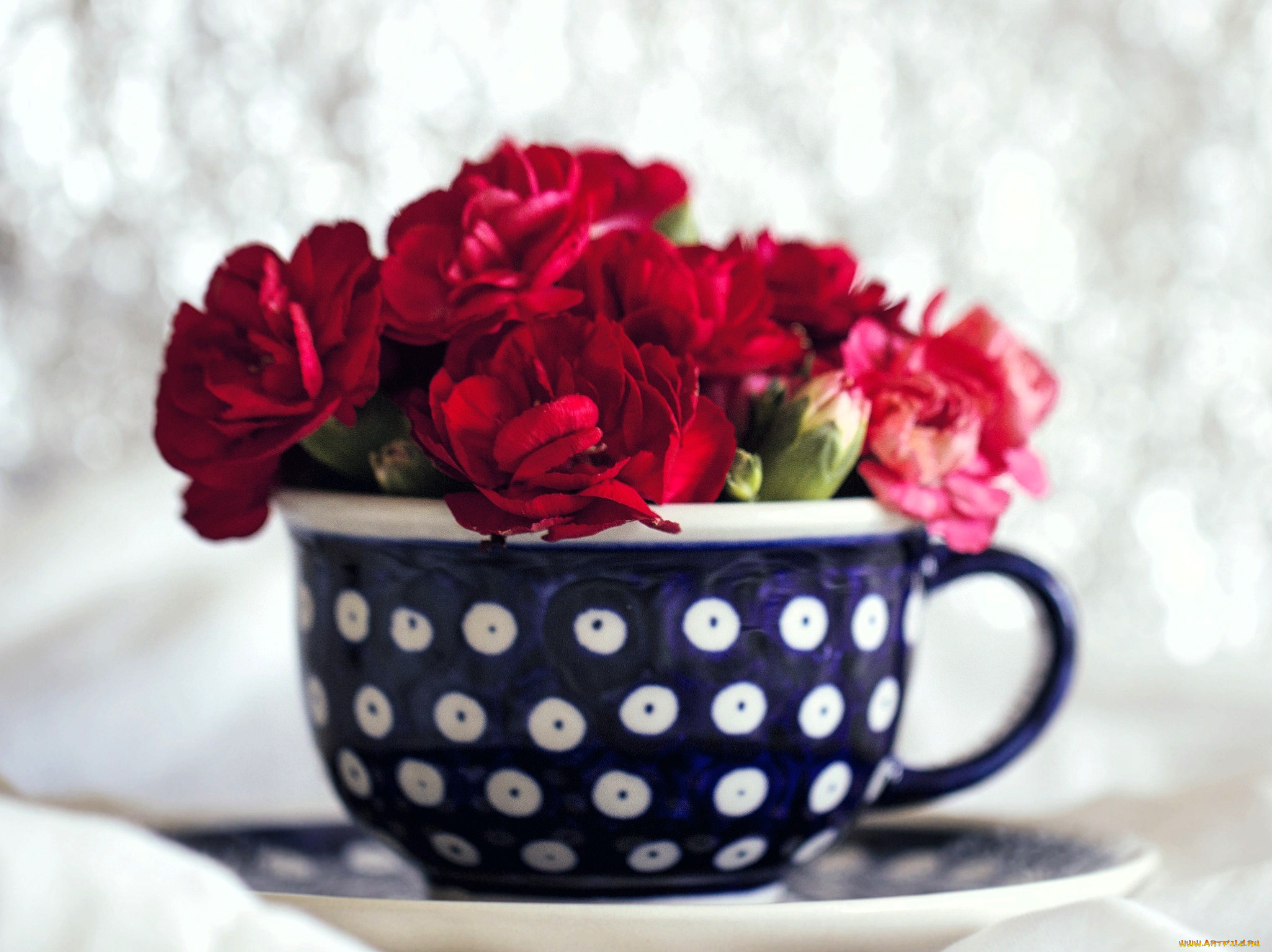 цветы, гвоздики, чашка, букет