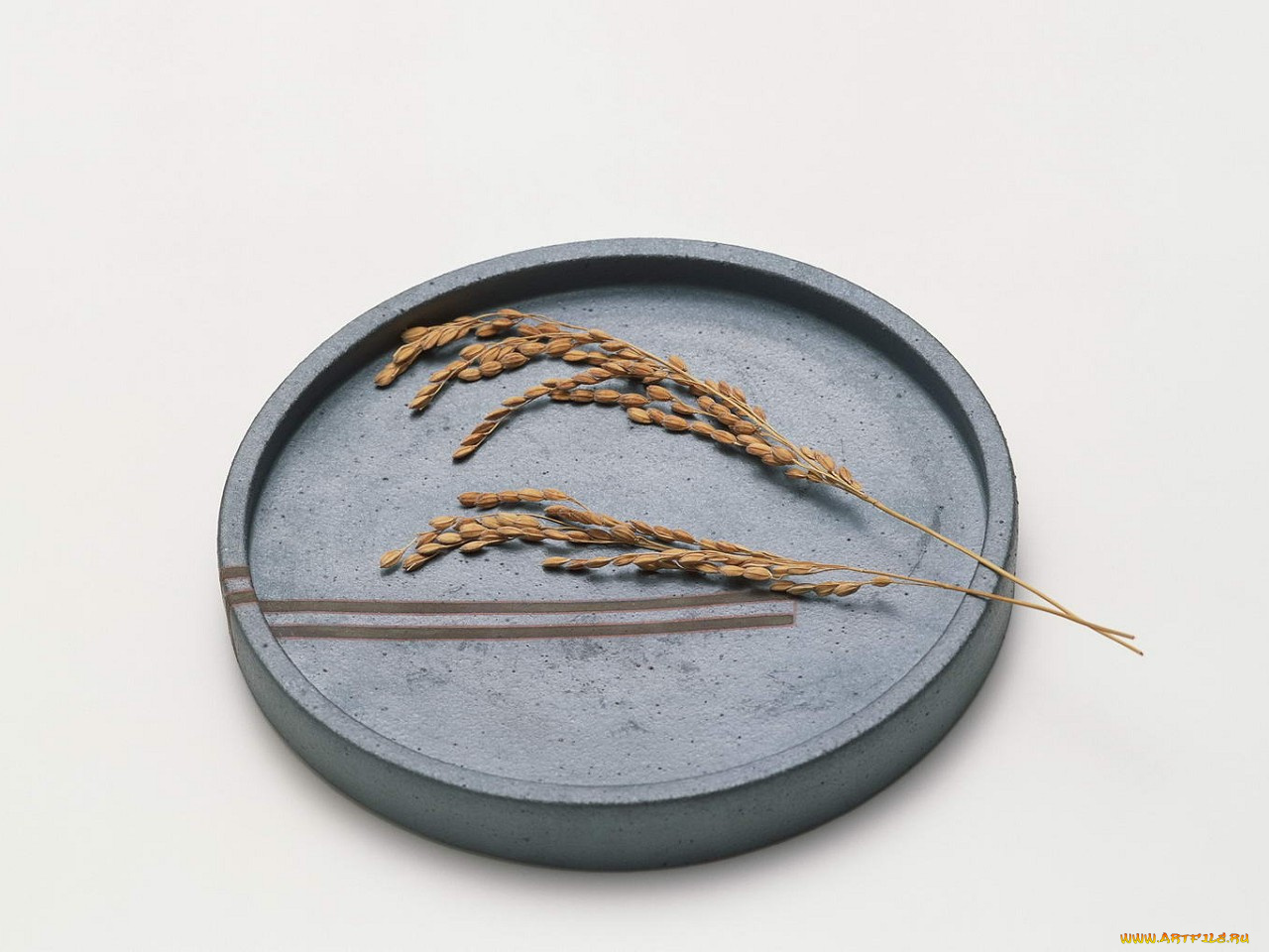 еда, крупы, зерно, специи, семечки