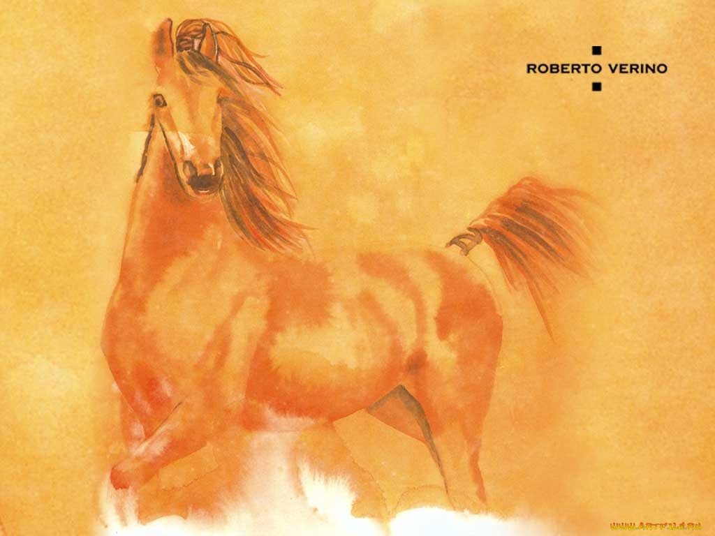 бренды, roberto, verino