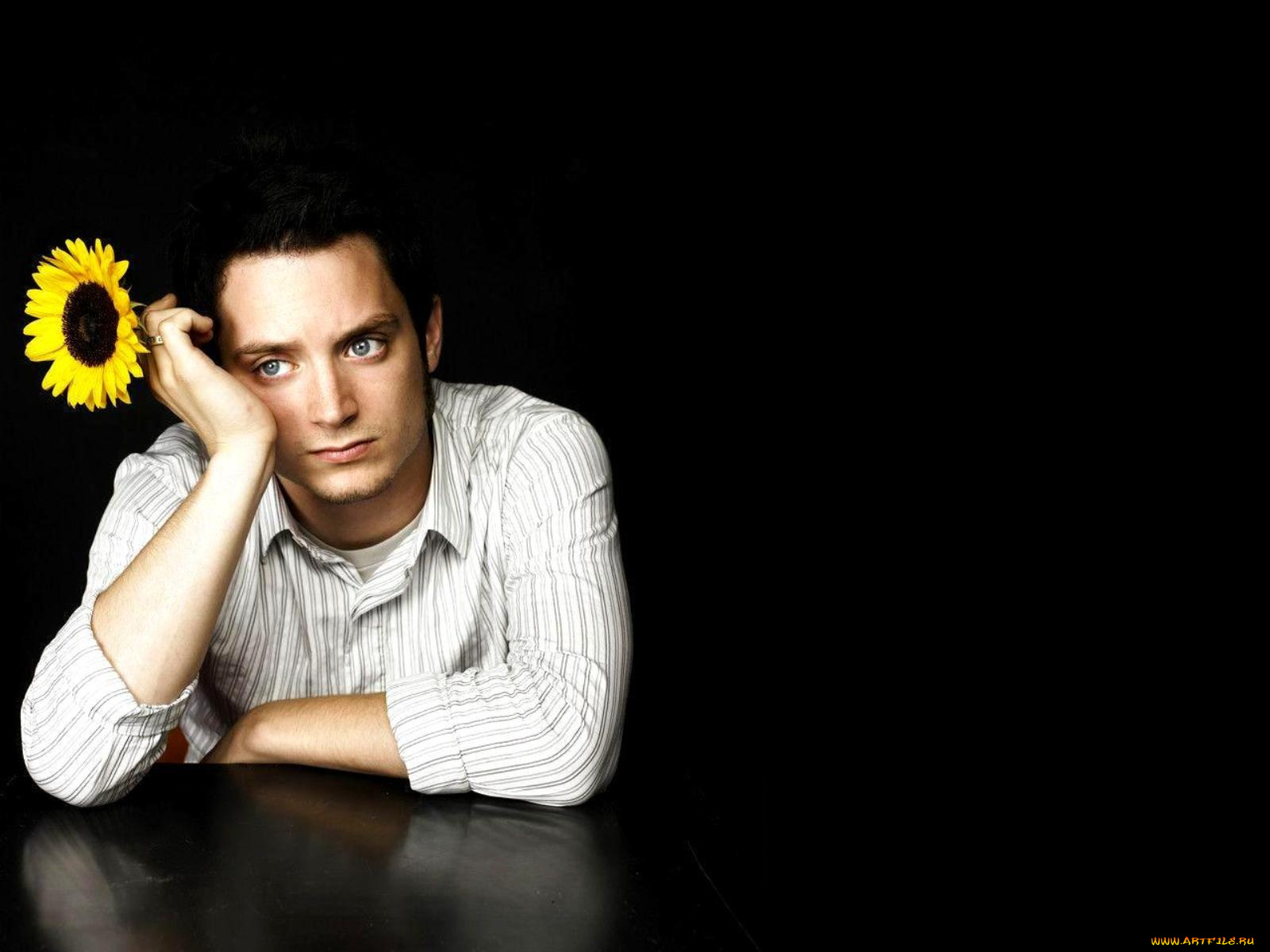 elijah, wood, мужчины