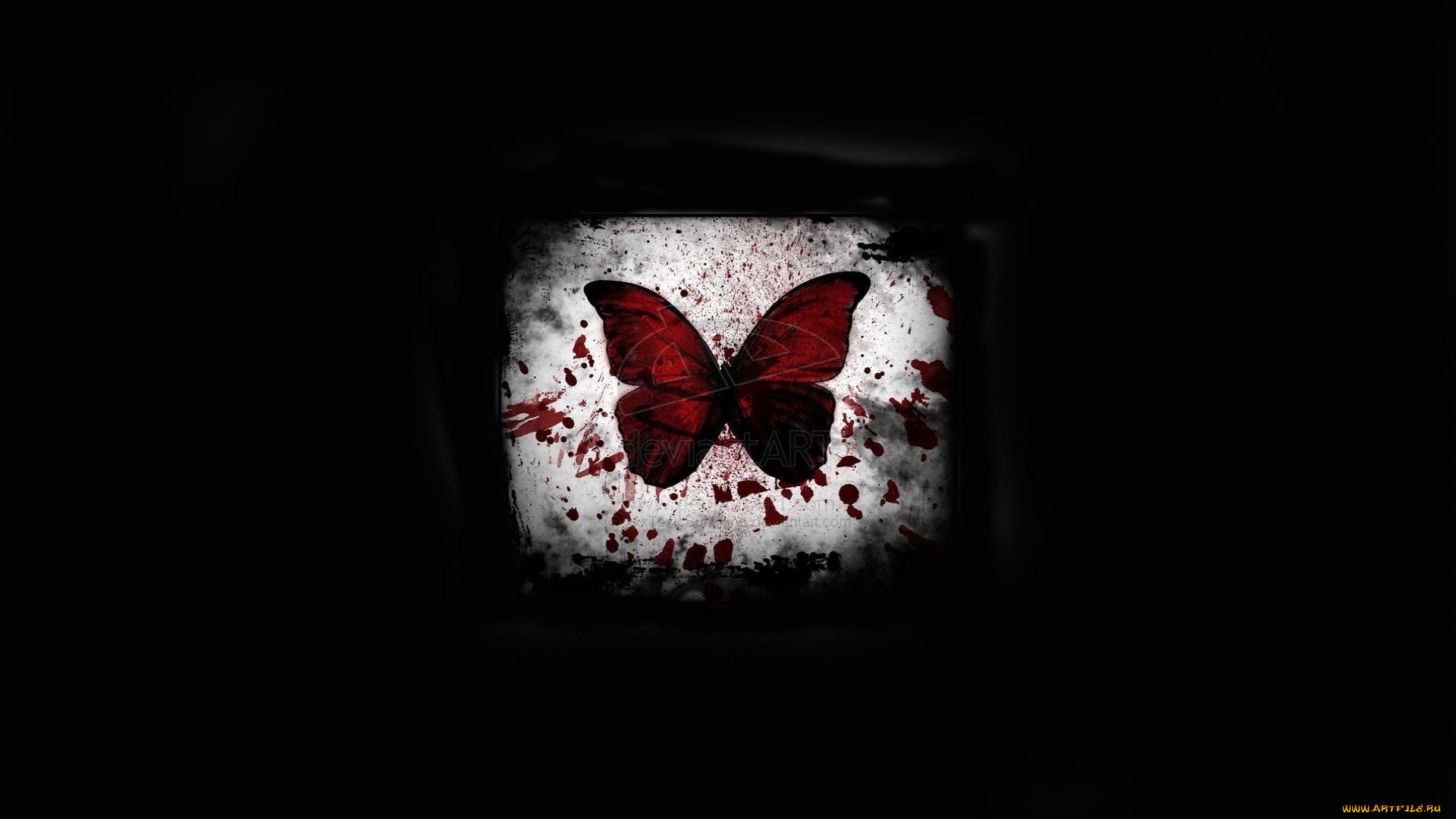 3д, графика, animals, животные, пятно, бабочка, черный, фон, свет, кровь