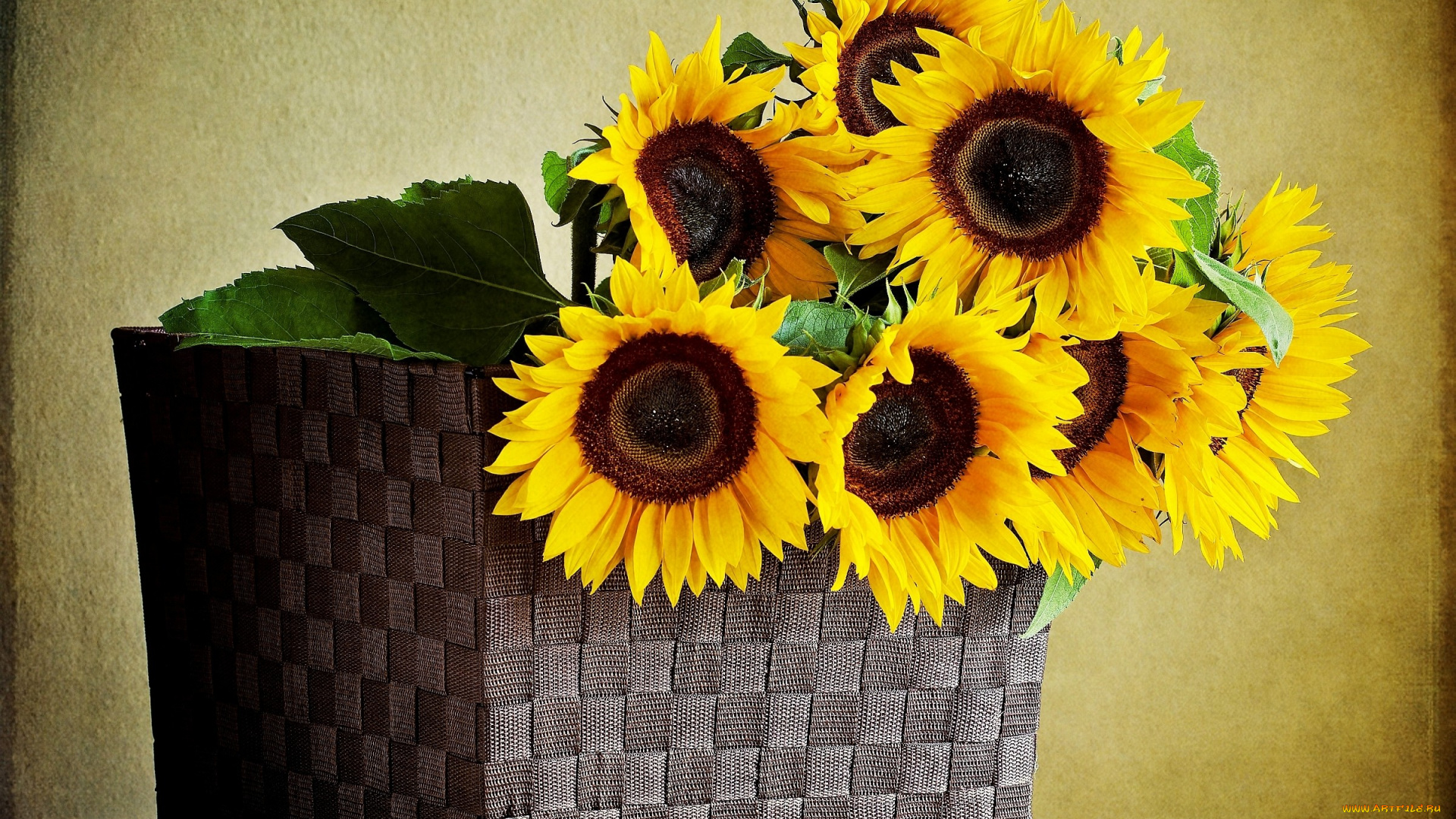 цветы, подсолнухи, желтый, корзина