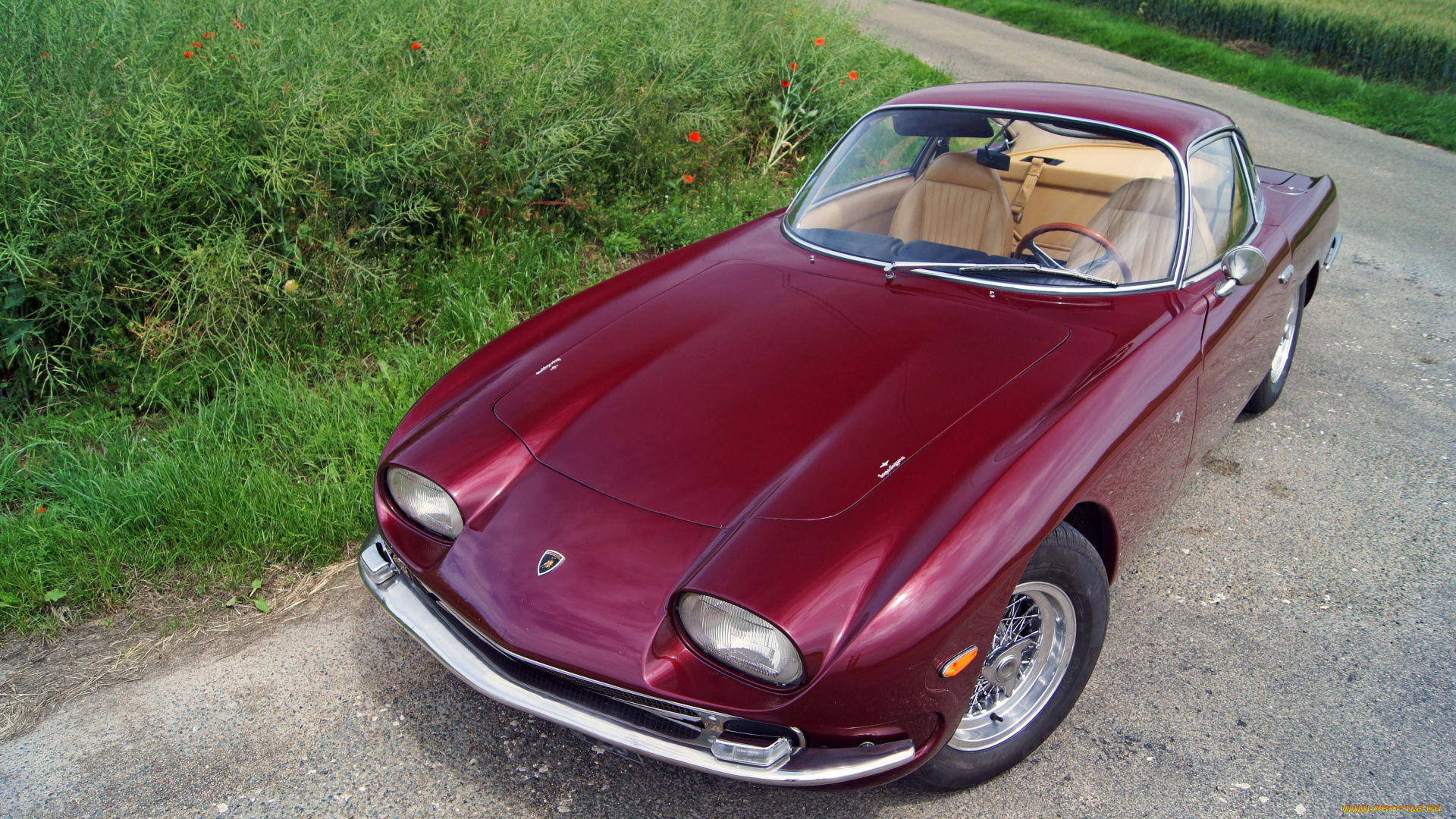 lamborghini, 350gt, автомобили