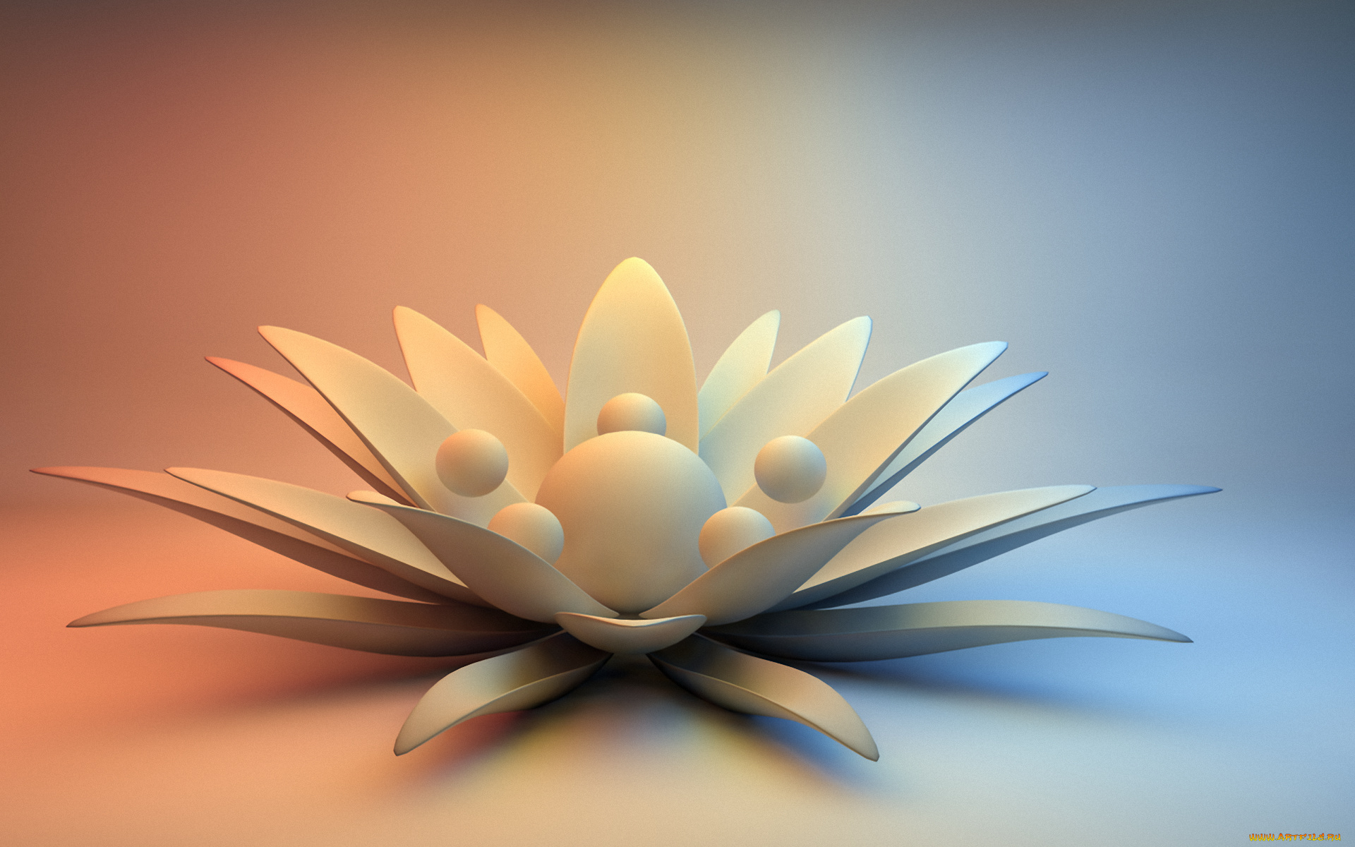 3д, графика, flowers, цветы, каменный, цветок