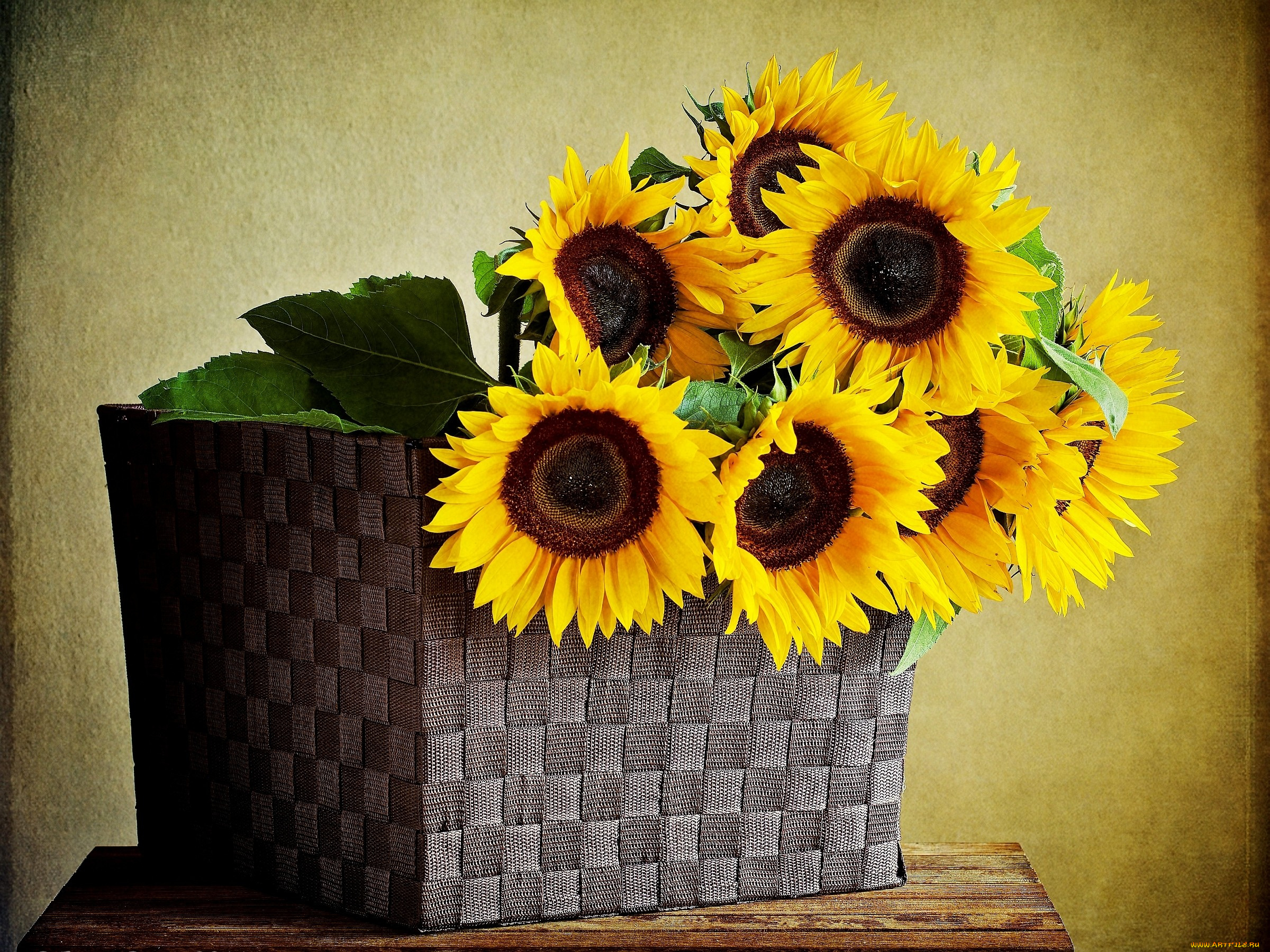 цветы, подсолнухи, желтый, корзина