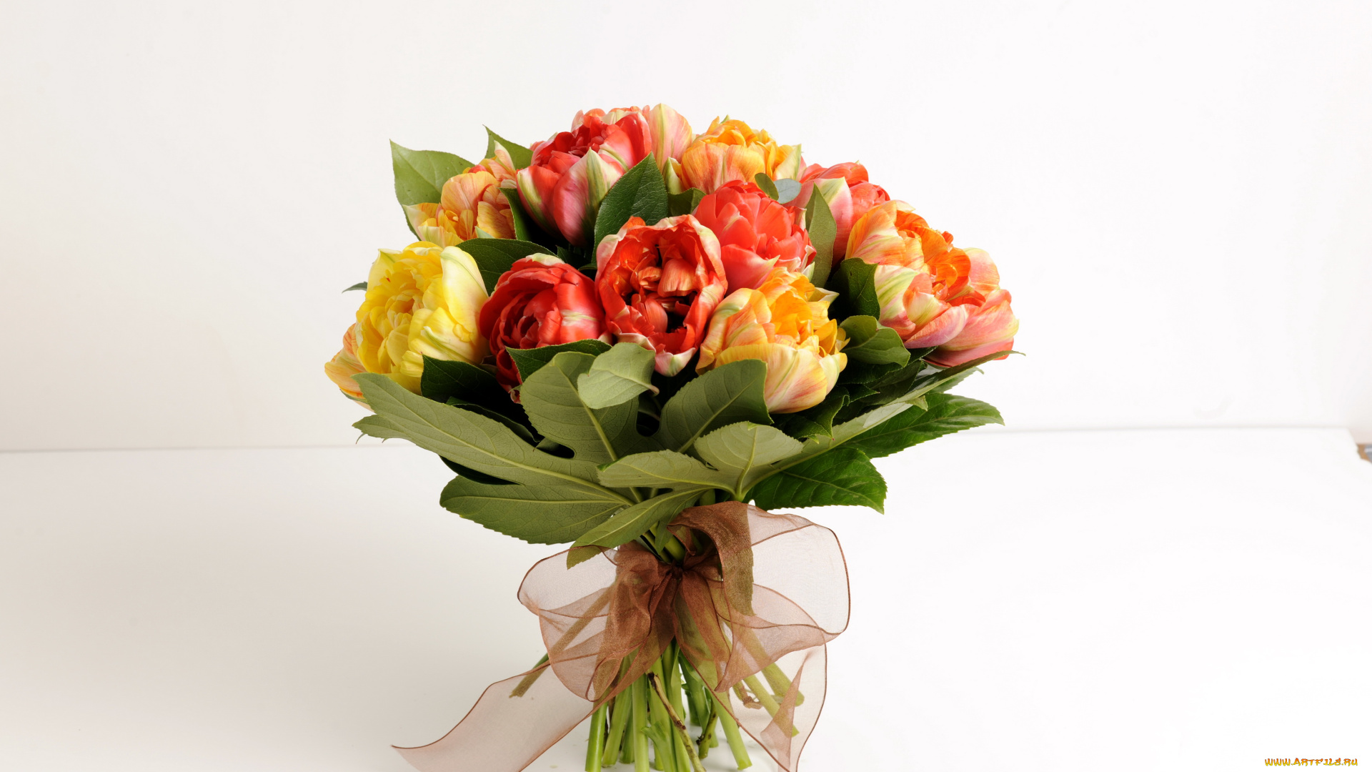 цветы, тюльпаны, бант, букет