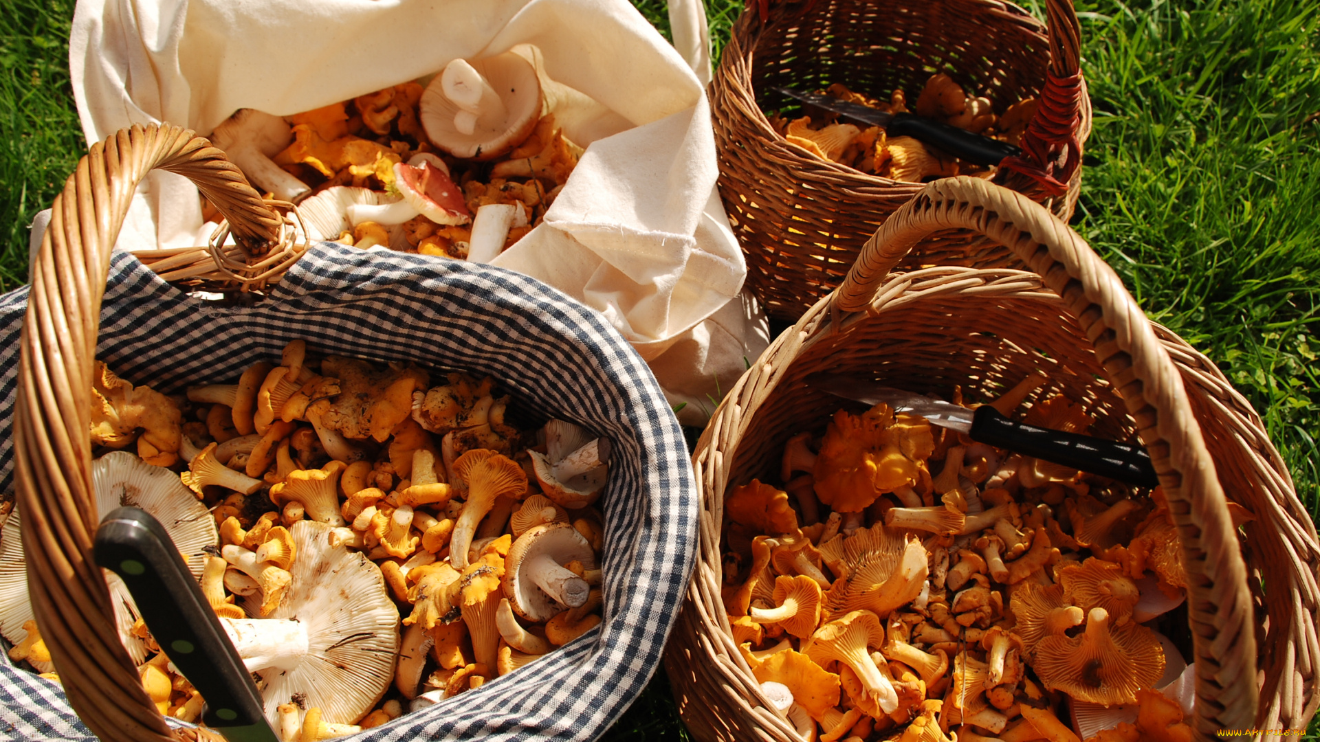 еда, грибы, грибные, блюда, лисички, корзины