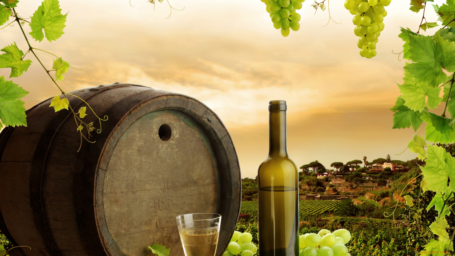 еда, напитки, вино, бочка, плантация, виноград, бокал, бутыль