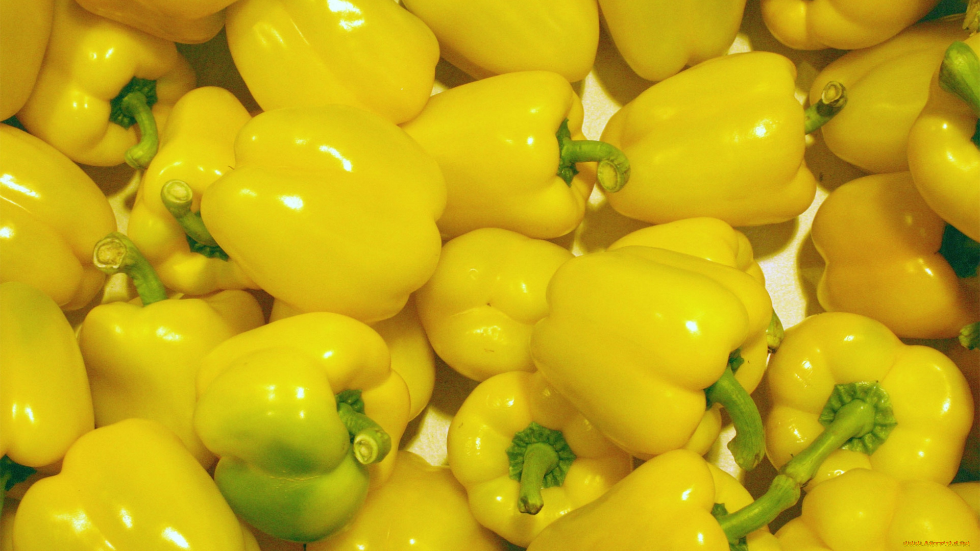 еда, перец, желтый