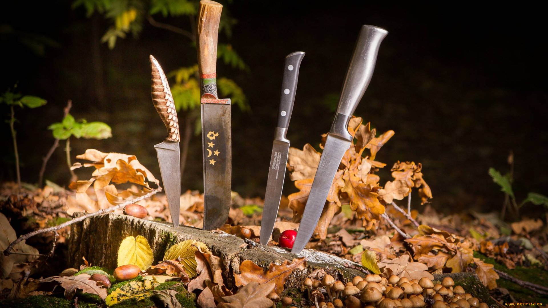 оружие, холодное, листья, ножи