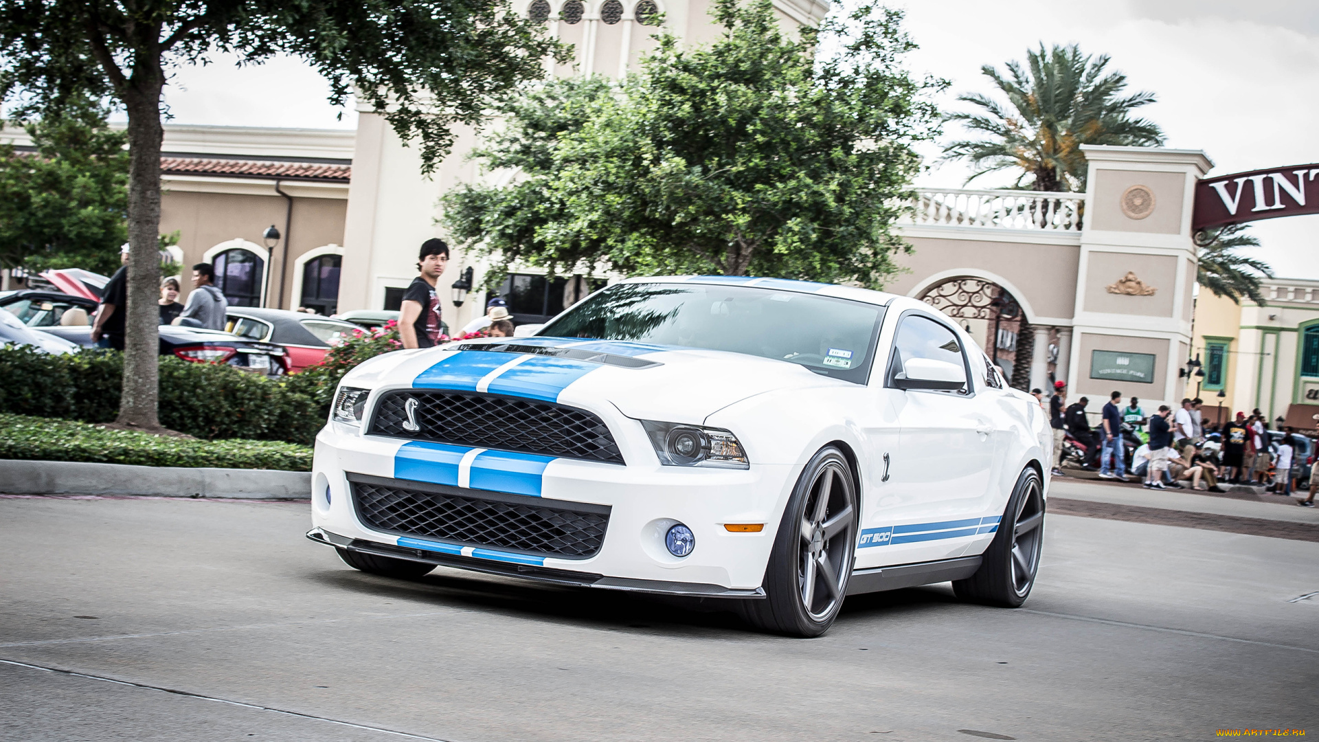 автомобили, выставки, уличные, фото, shelby, ford, gt-500