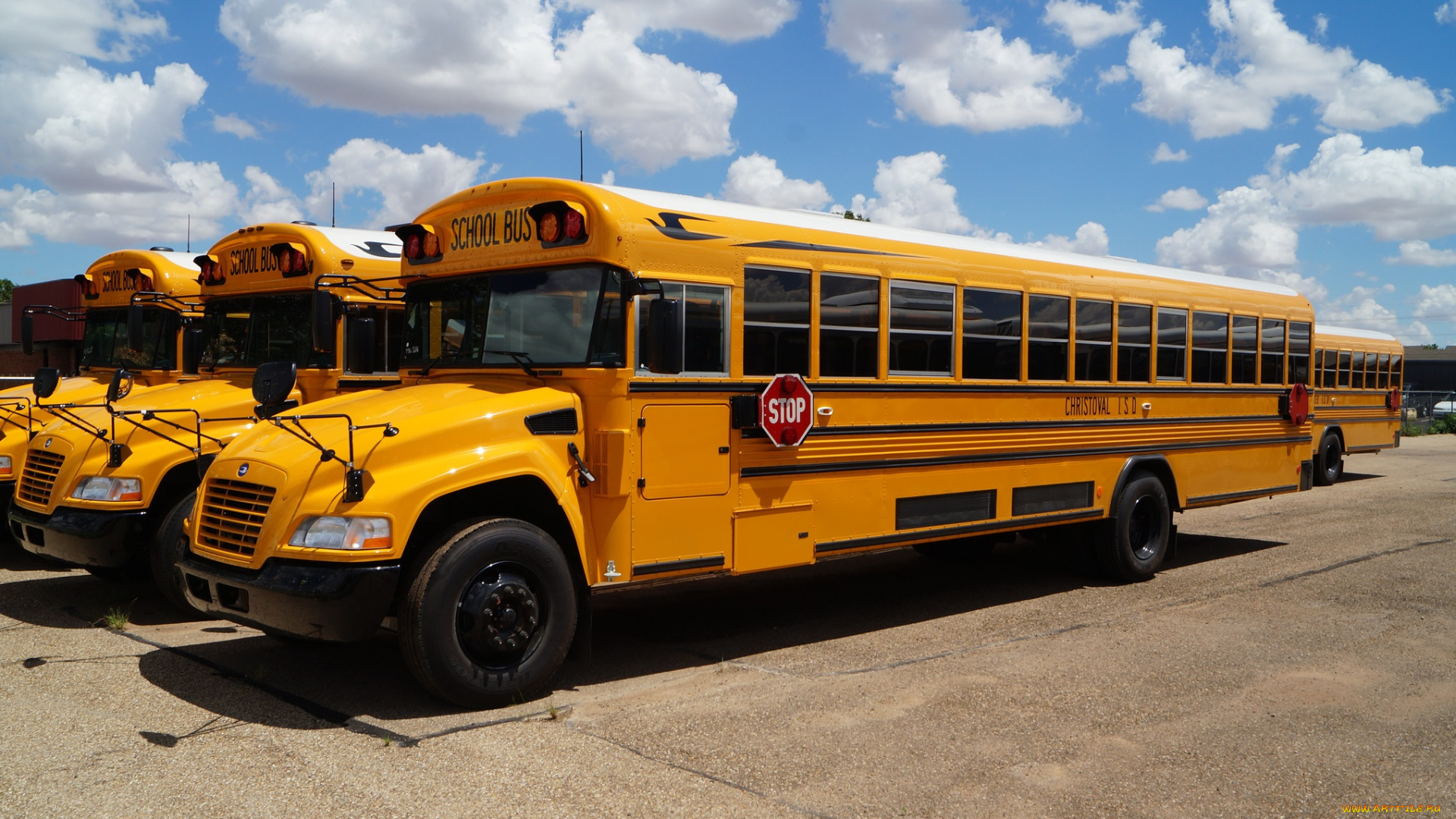 christoval, isd, blue, bird, vision, school, bus, автомобили, автобусы, желтый, школьный, автобус