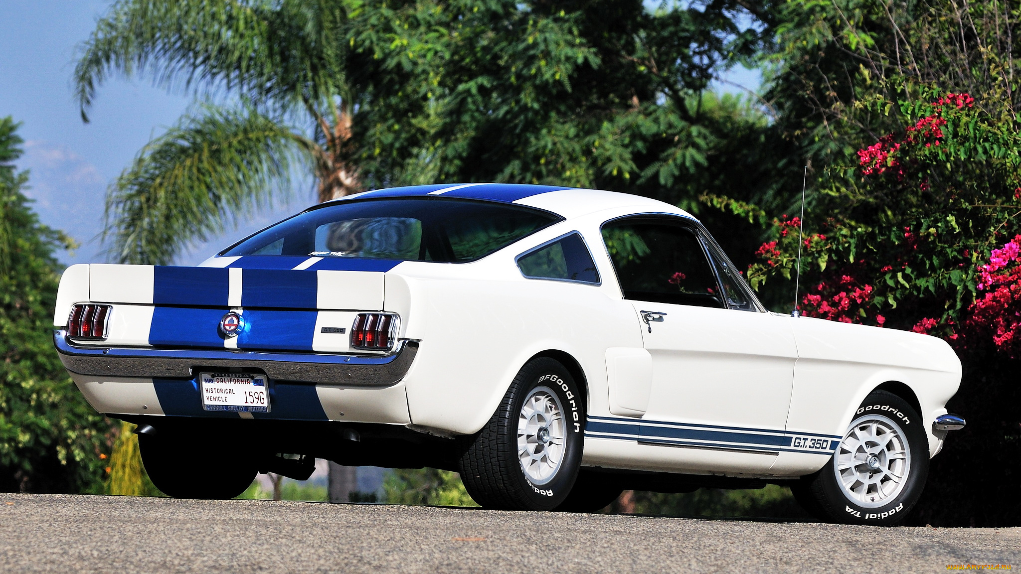 ford, mustang, автомобили, сша, автомобиль, культовый, motor, company