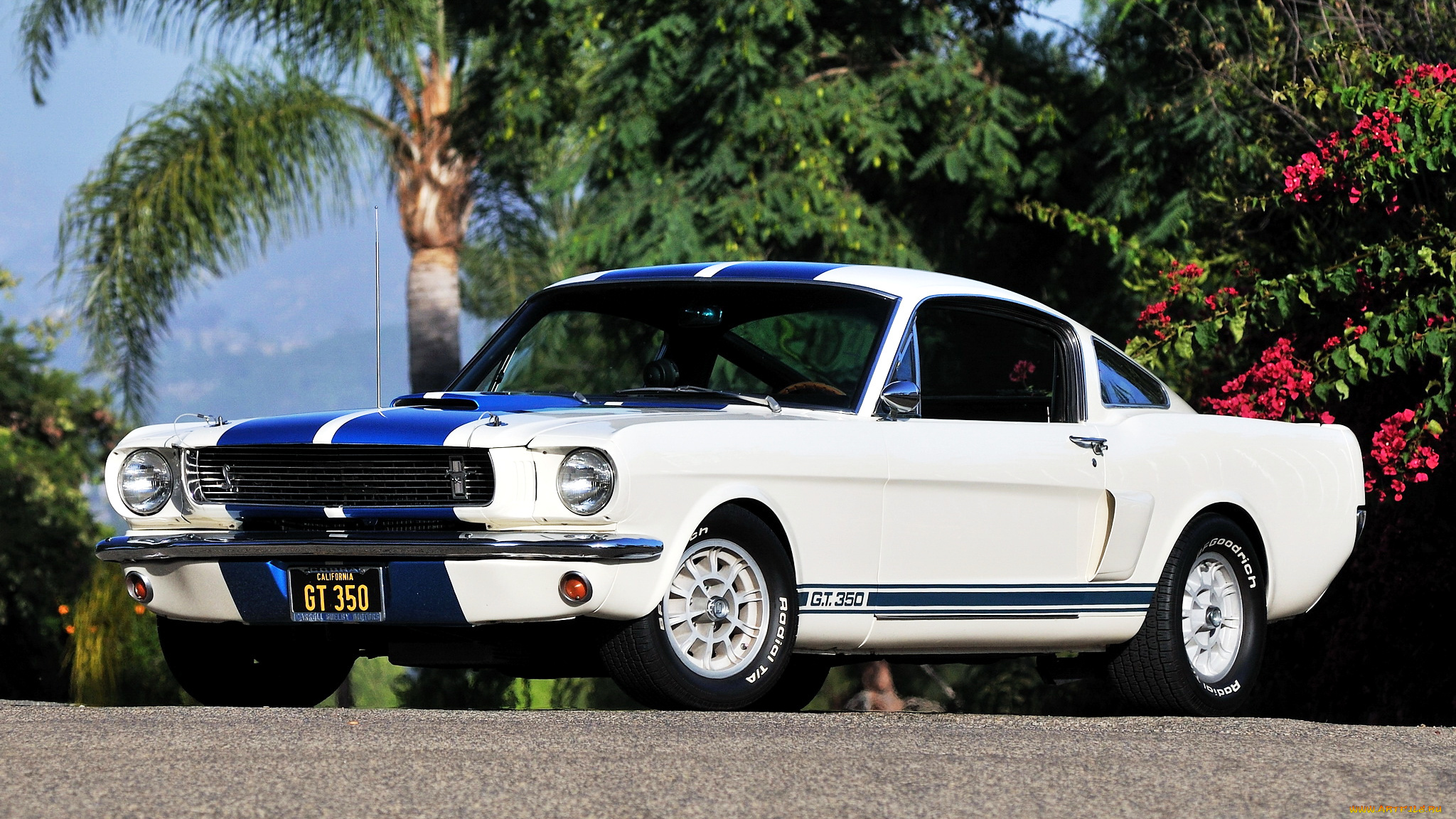 ford, mustang, автомобили, сша, автомобиль, культовый, motor, company