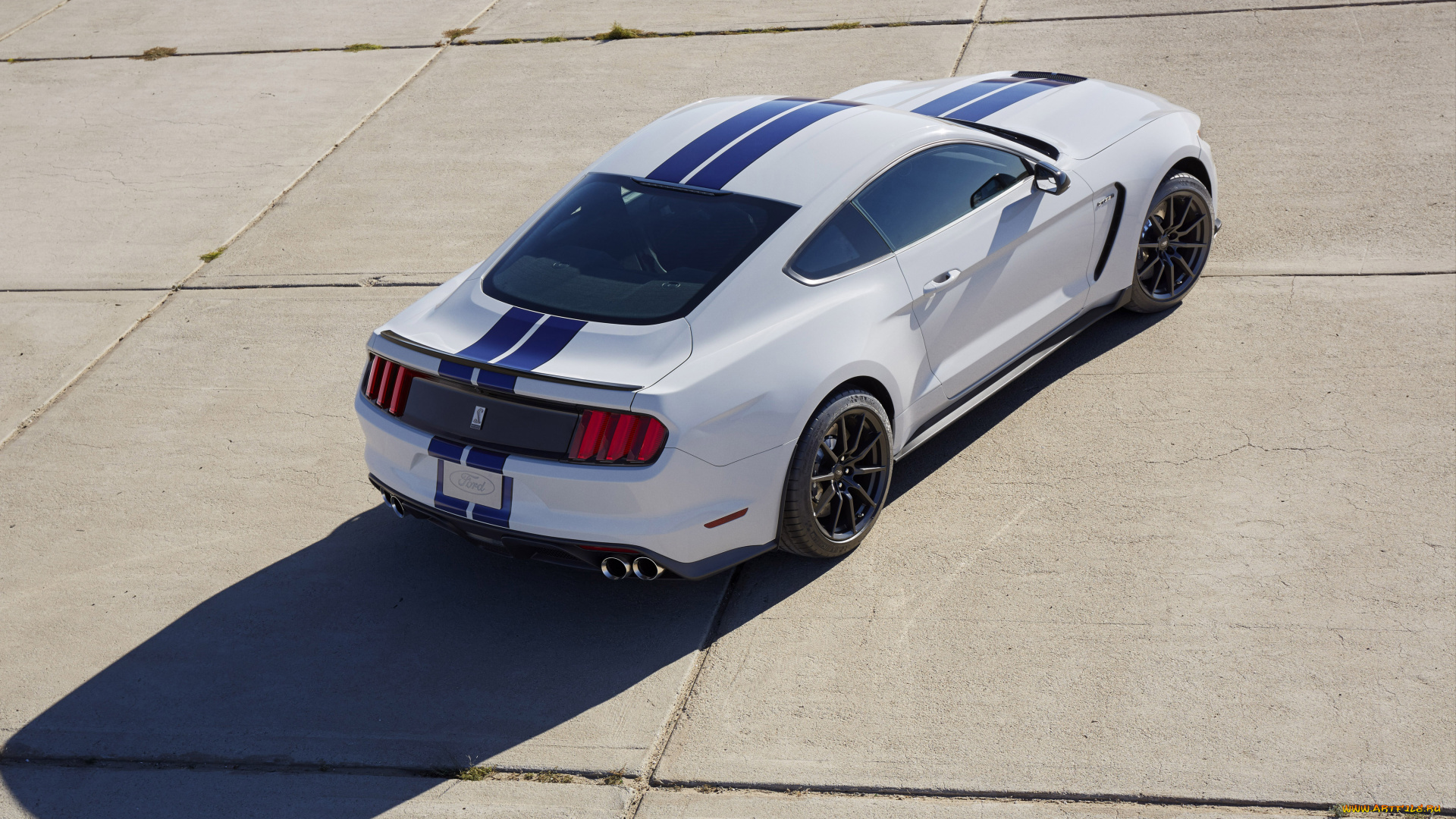 автомобили, mustang, 2015г, shelby, gt350, светлый