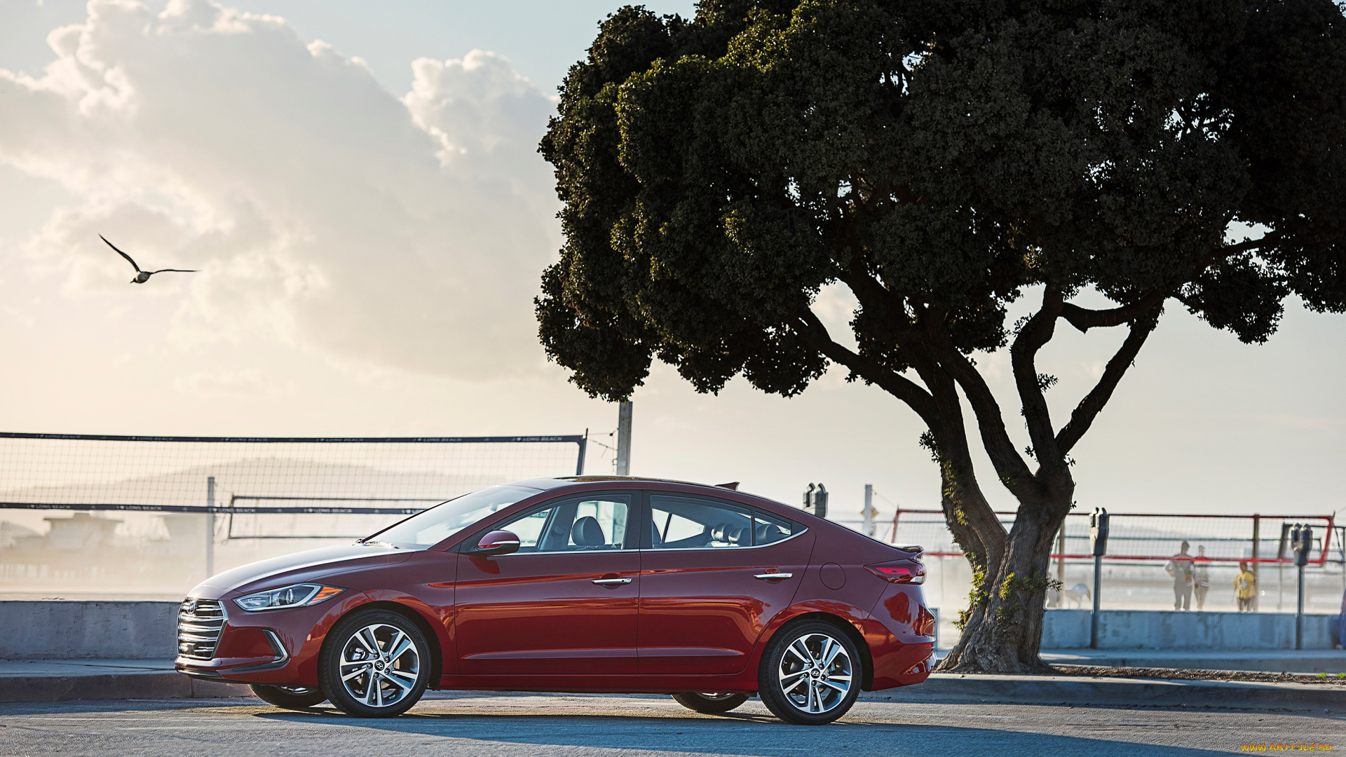 автомобили, hyundai, красный, elantra, 2017г, us-spec