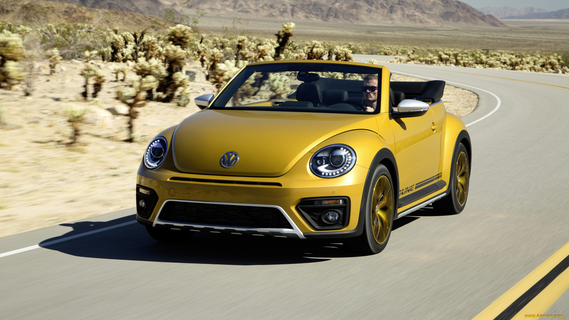 автомобили, volkswagen, convertible, dune, beetle, 2016г