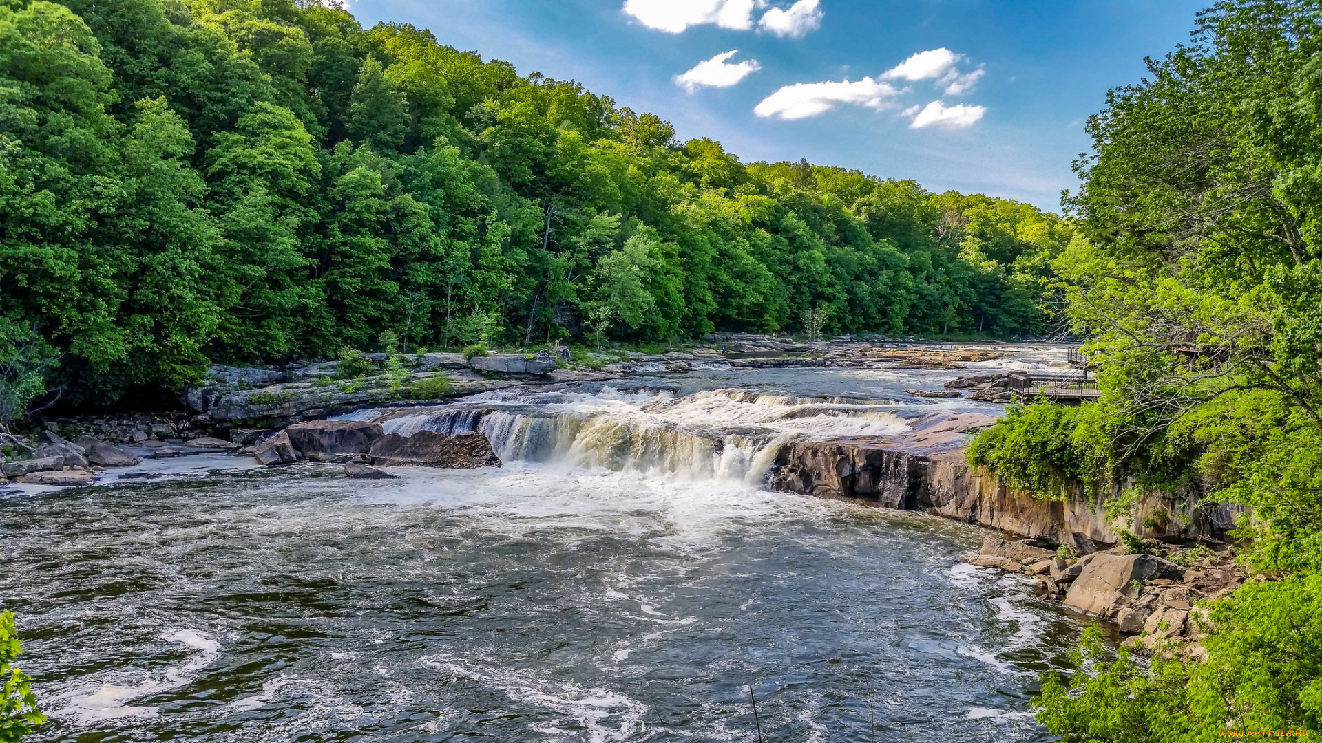 природа, реки, озера, лес, река