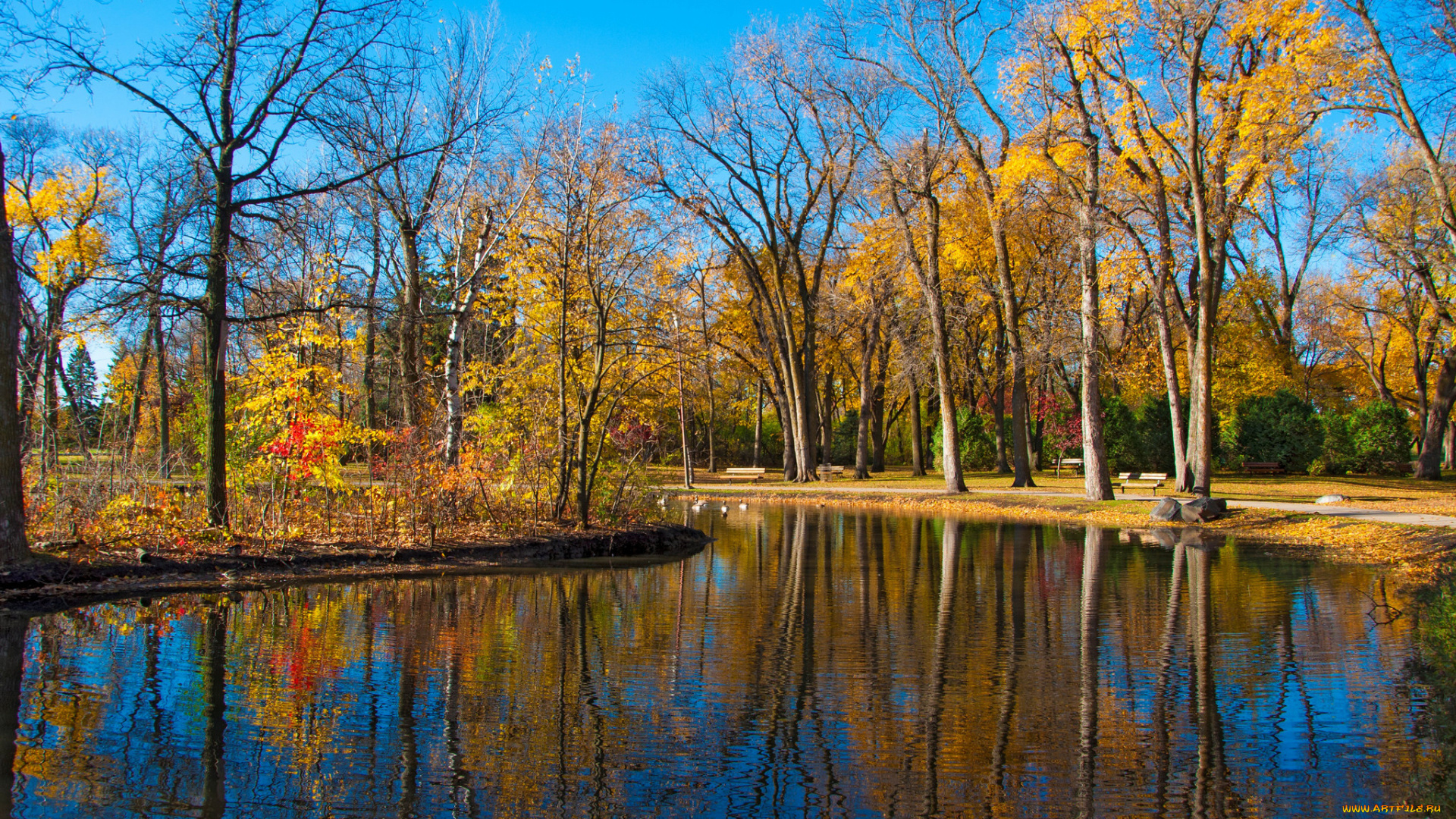 природа, реки, озера, отражение, пруд, парк, деревья, осень