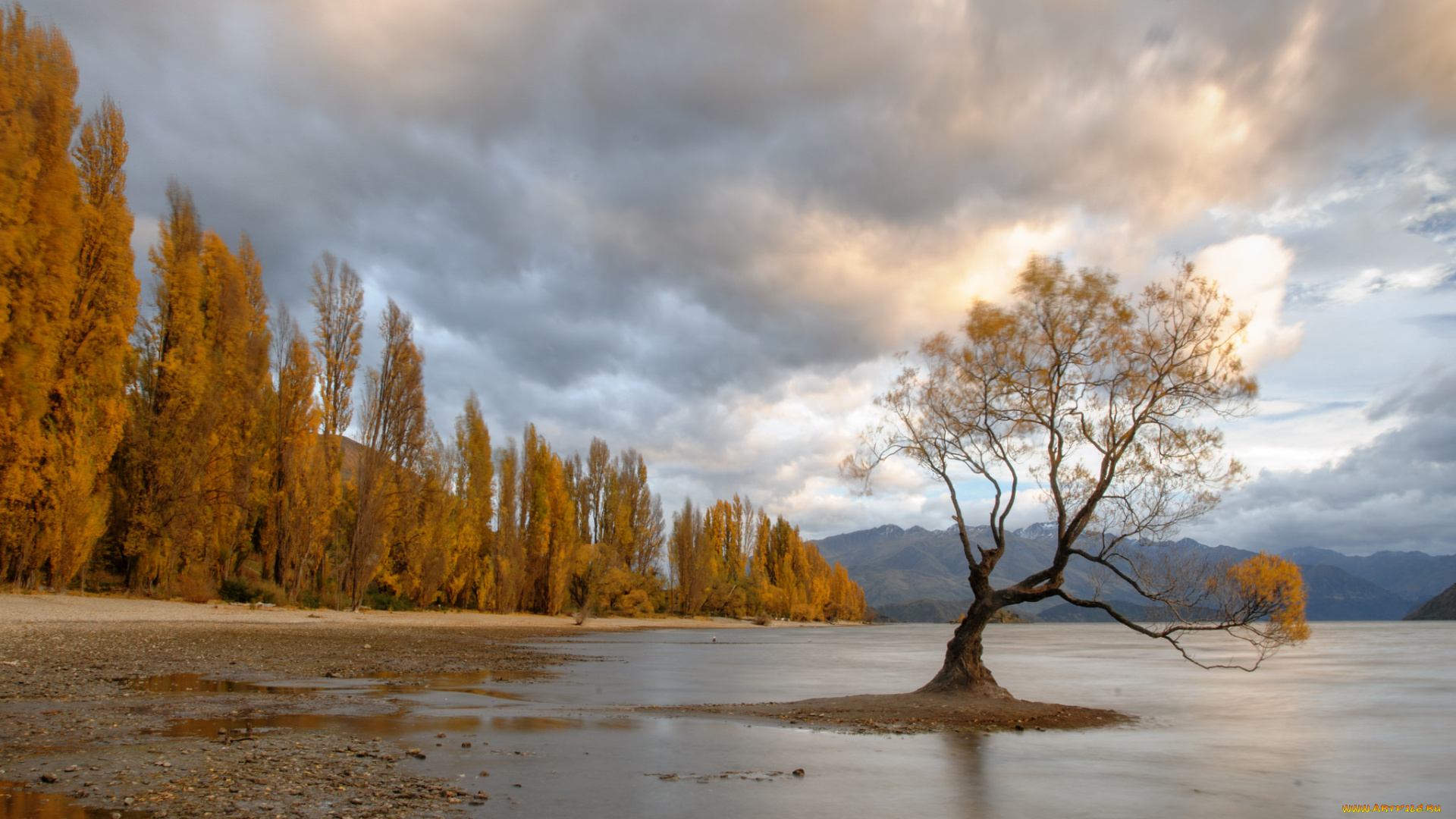 природа, реки, озера, река, лес