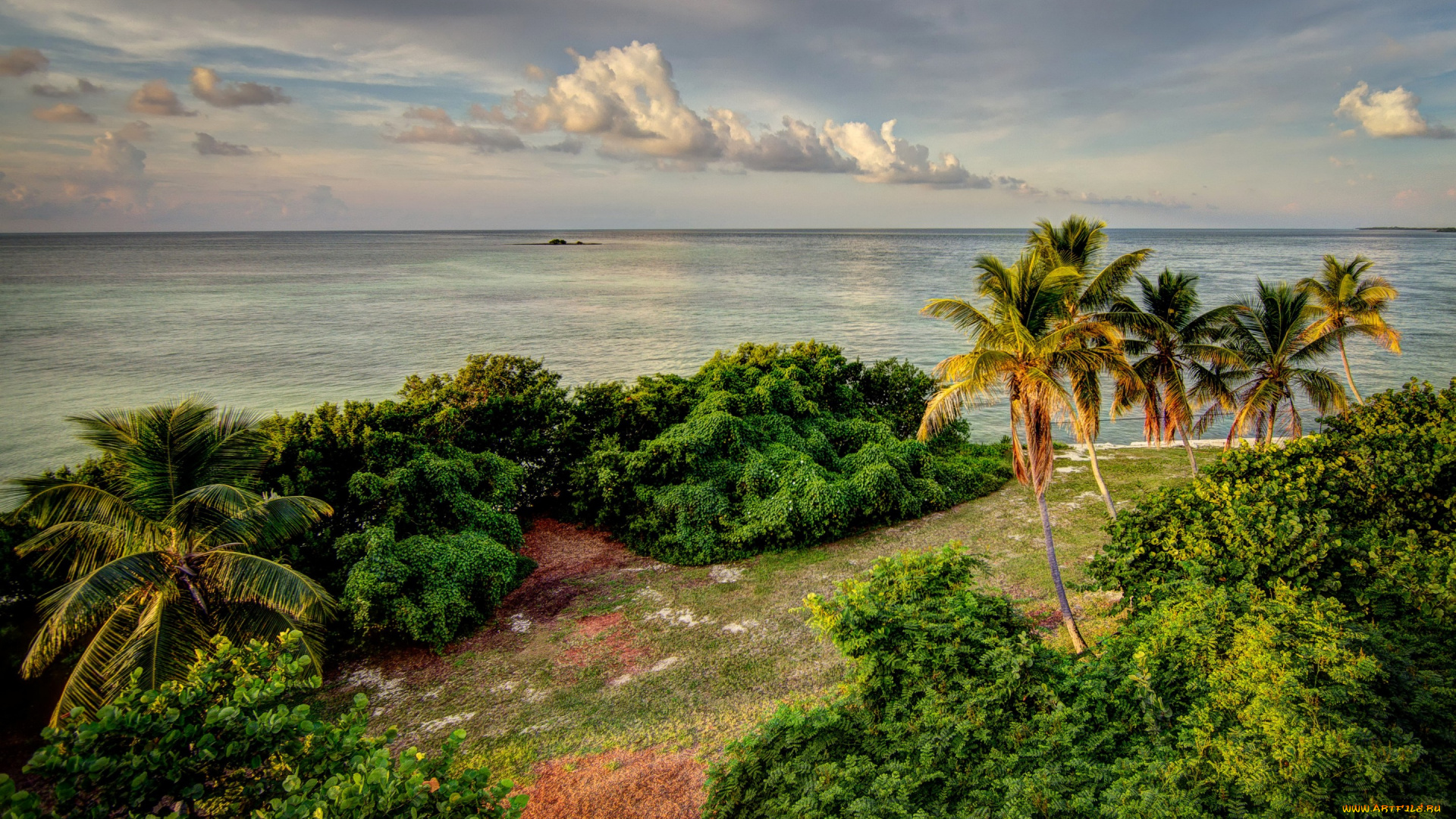 природа, тропики, облака, пальмы, bahia, honda, state, park, сша, побережье, горизонт, море, florida