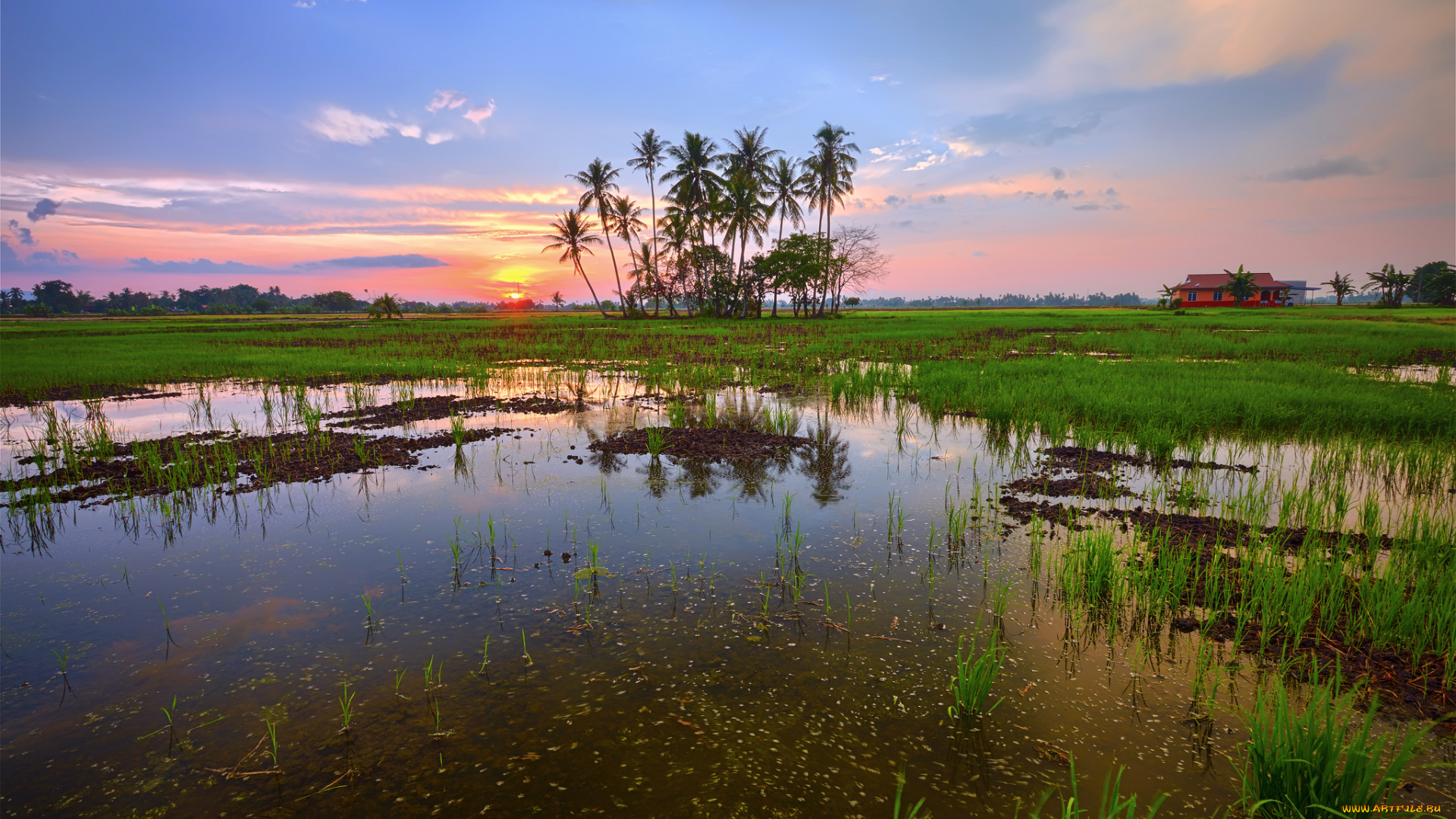 природа, восходы, закаты, рассвет