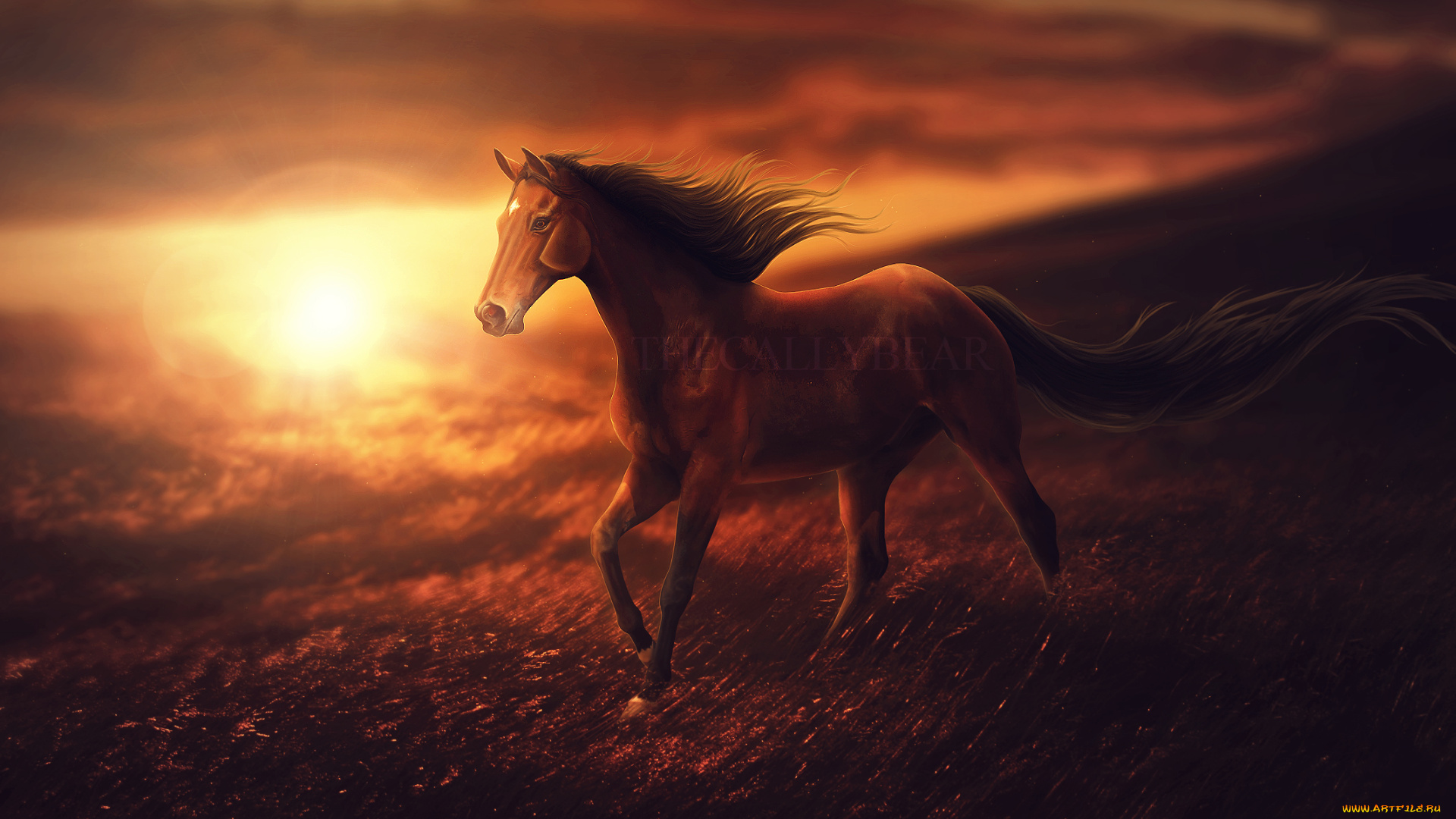 рисованное, животные, , лошади, фон, лошадь