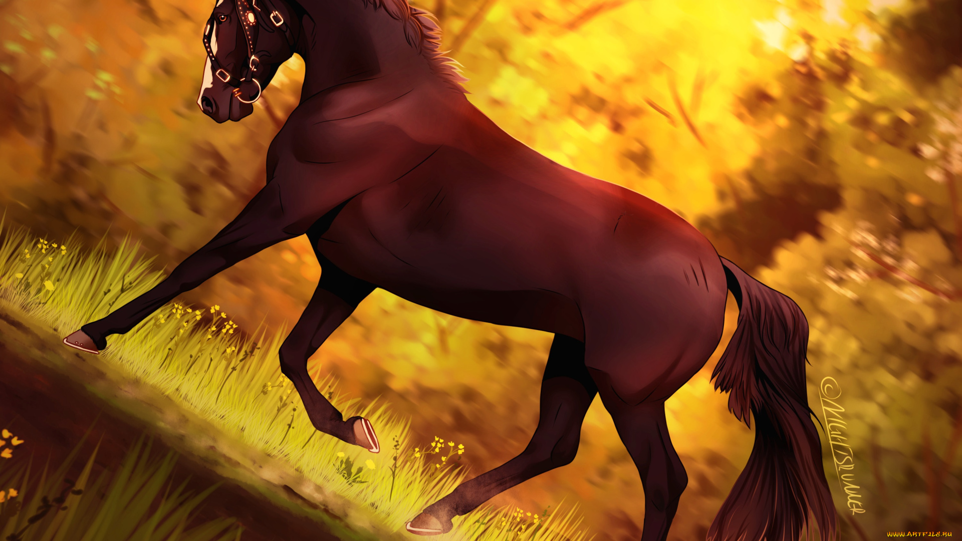 рисованное, животные, , лошади, лошадь, фон