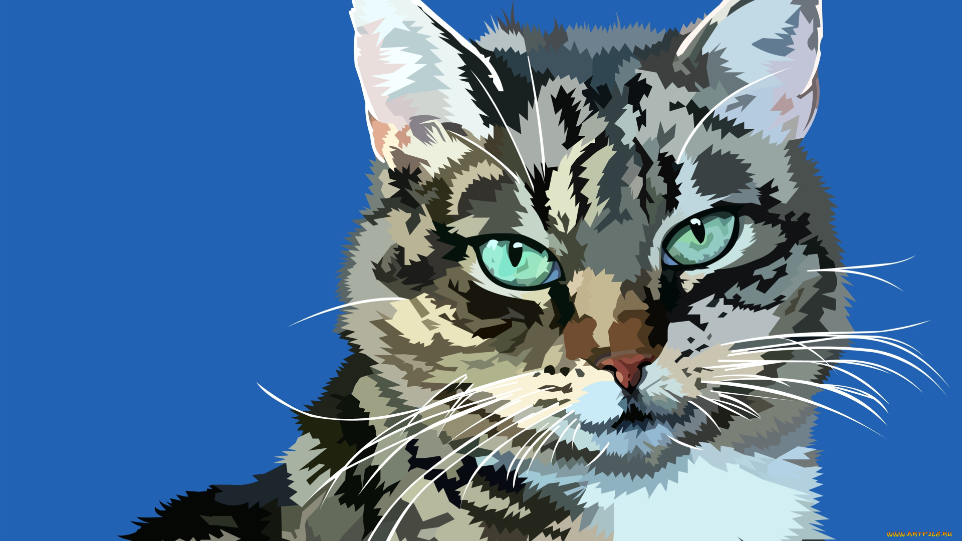 векторная, графика, животные, , animals, фон, усы, мордочка, мурзик, кот