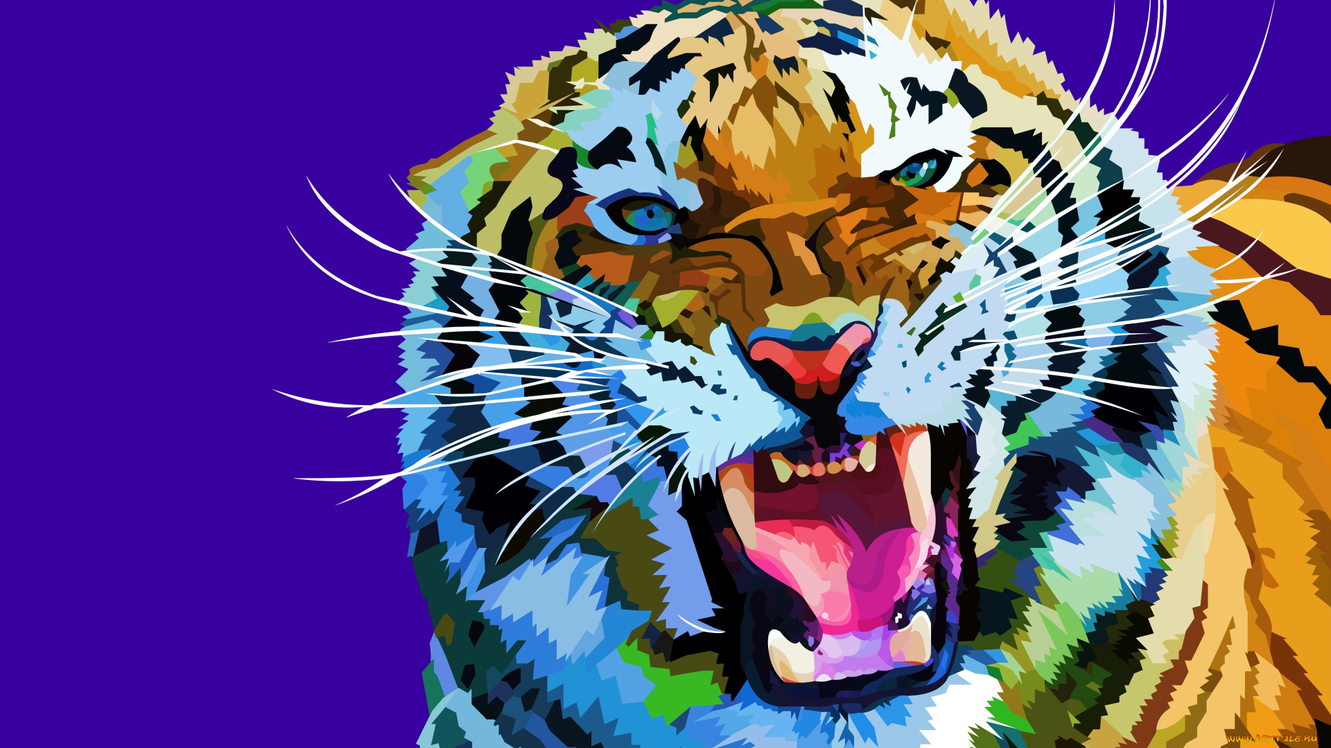 векторная, графика, животные, , animals, вектор, оскал, усы, фон, клыки, тигр, морда, хищник