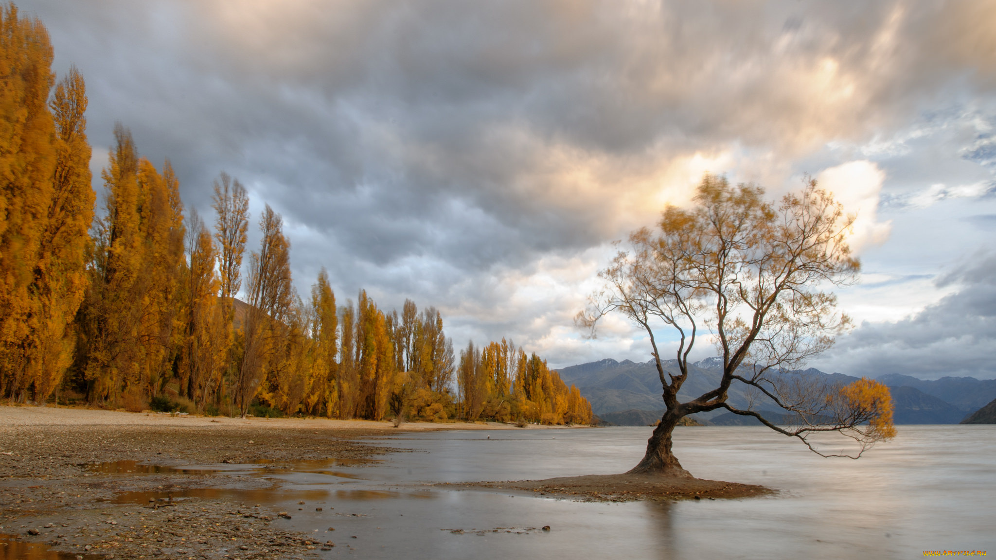 природа, реки, озера, река, лес