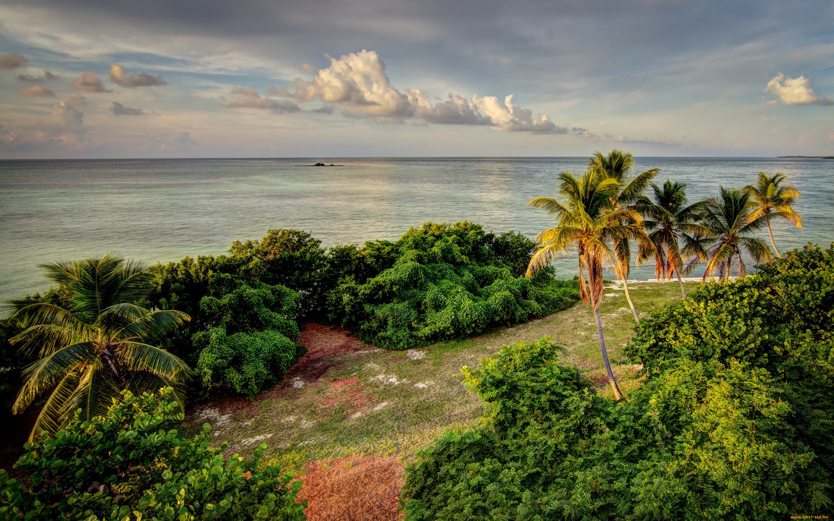 природа, тропики, облака, пальмы, bahia, honda, state, park, сша, побережье, горизонт, море, florida