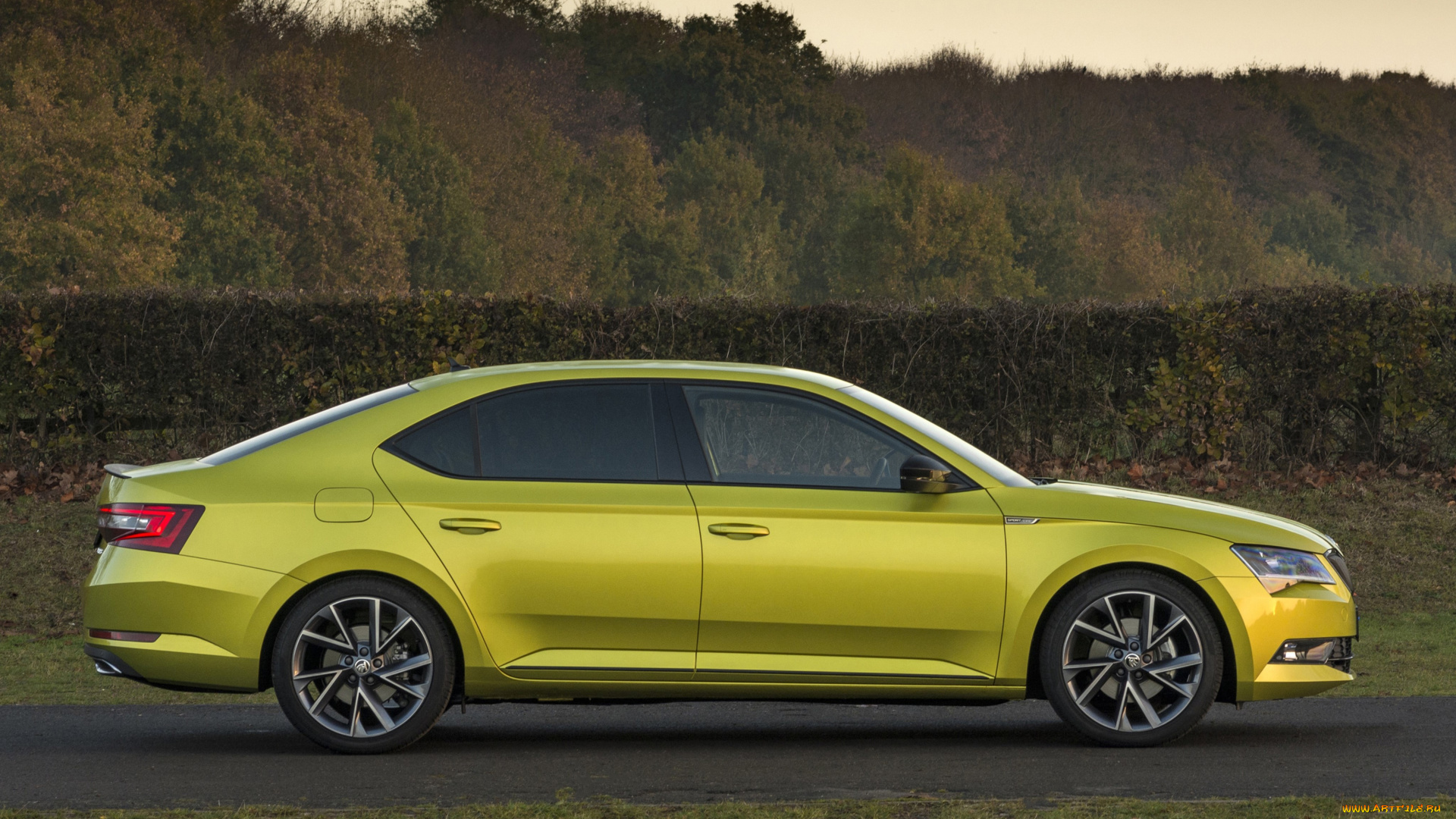 автомобили, skoda