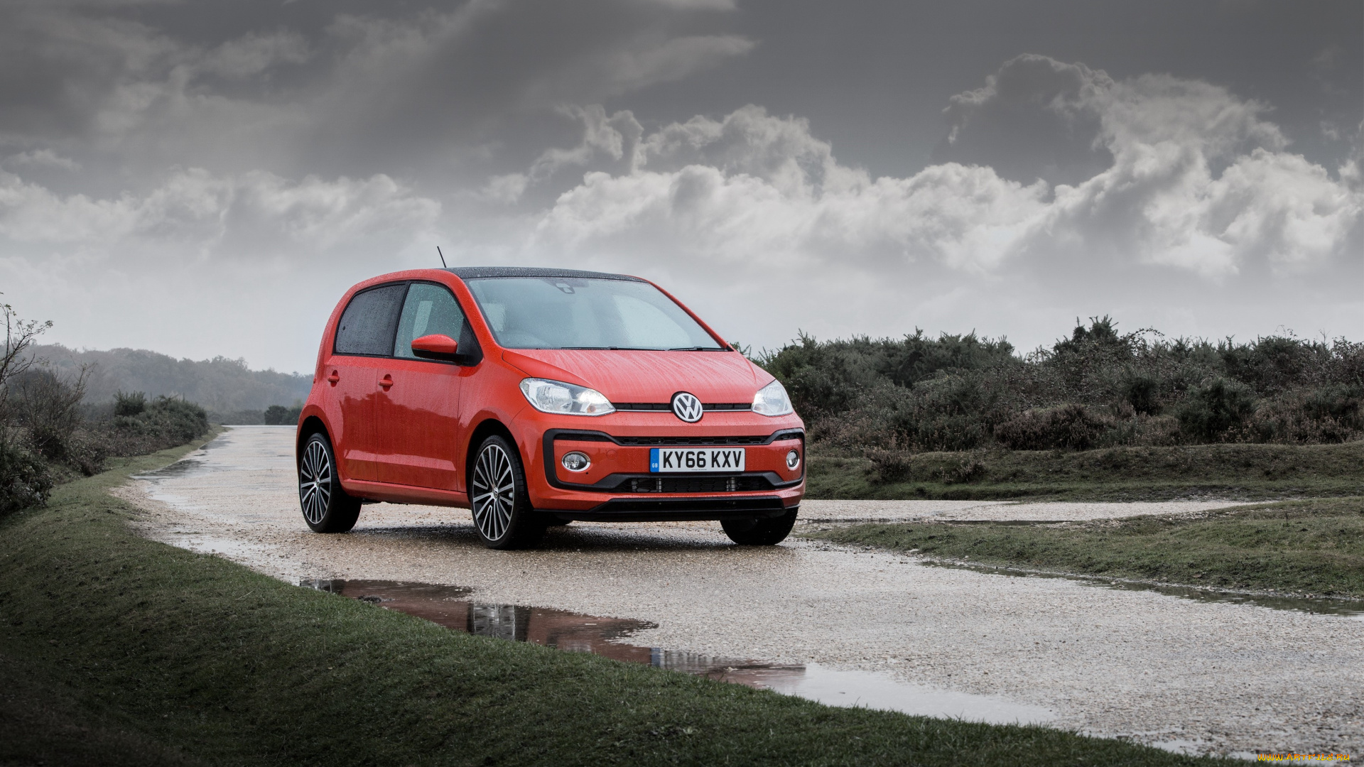 автомобили, volkswagen