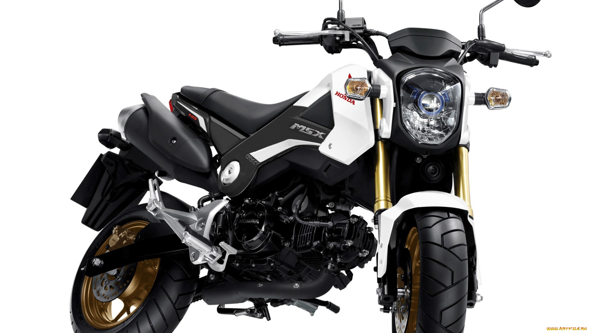 мотоциклы, honda