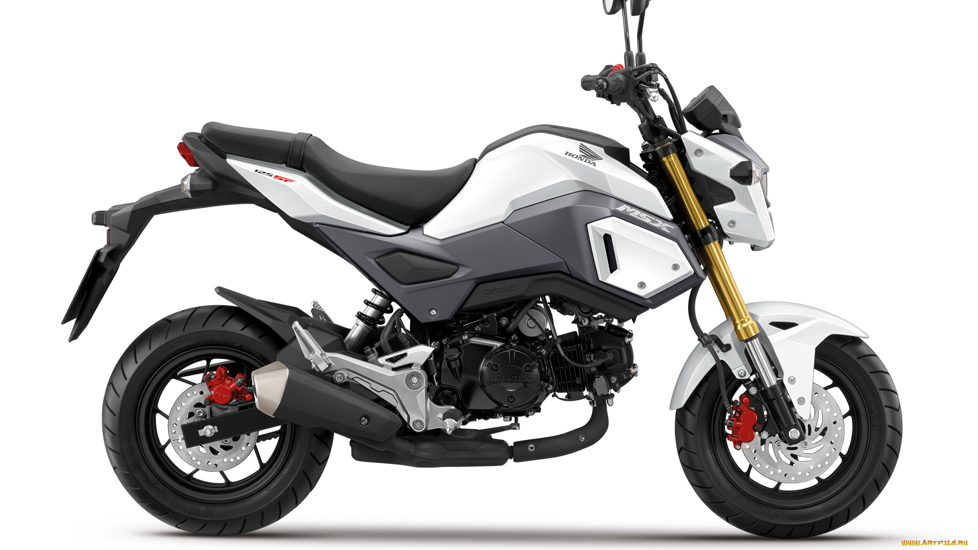 мотоциклы, honda