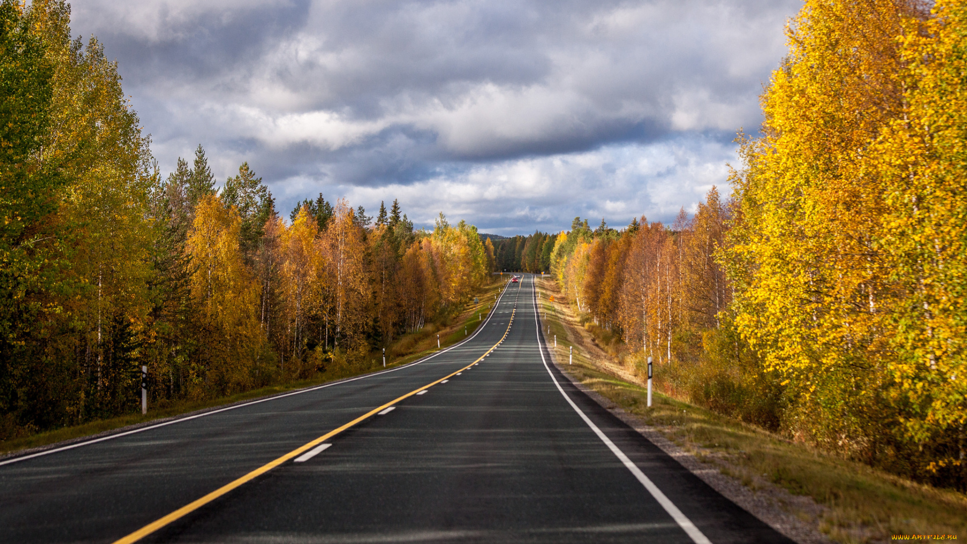 природа, дороги, тракт