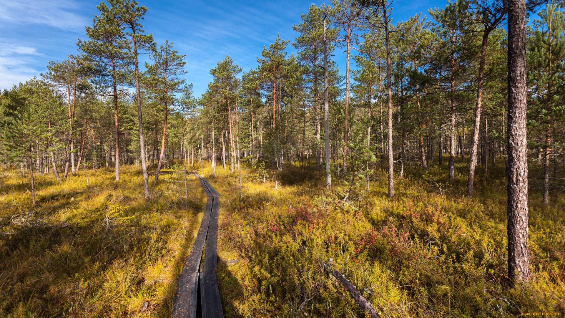 природа, дороги, тракт