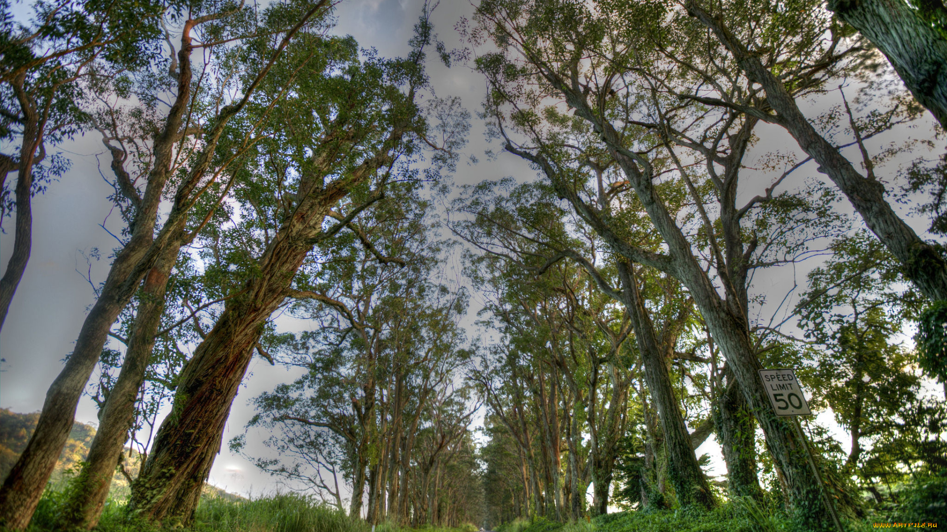 природа, дороги, тракт