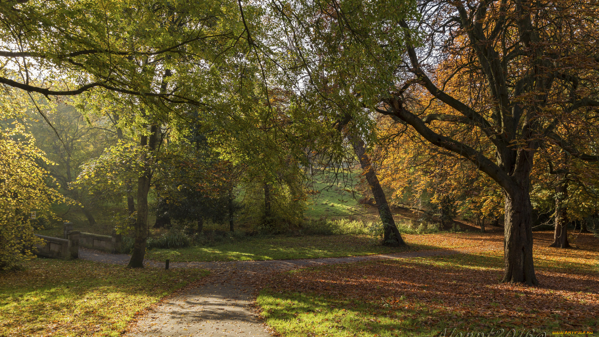 природа, дороги, тракт