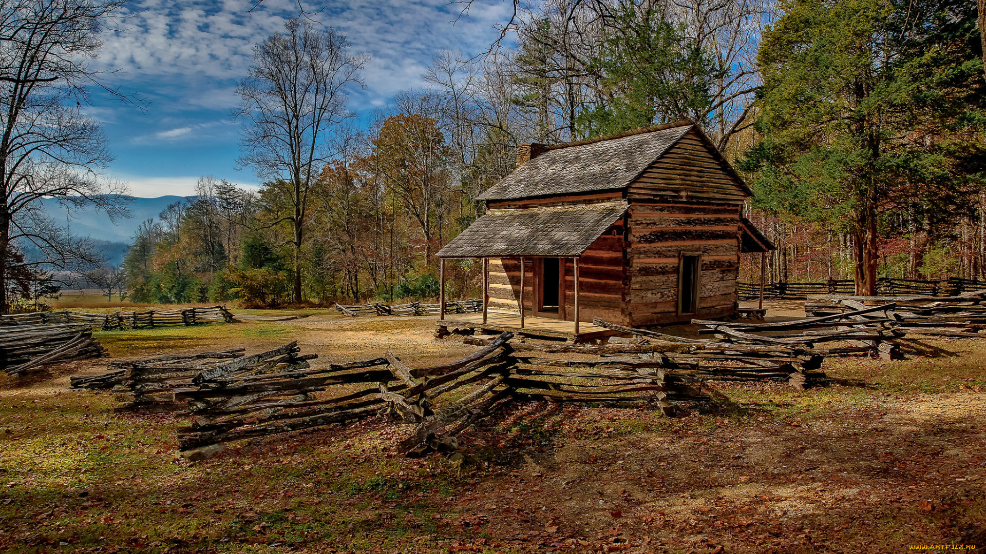 природа, пейзажи, опушка