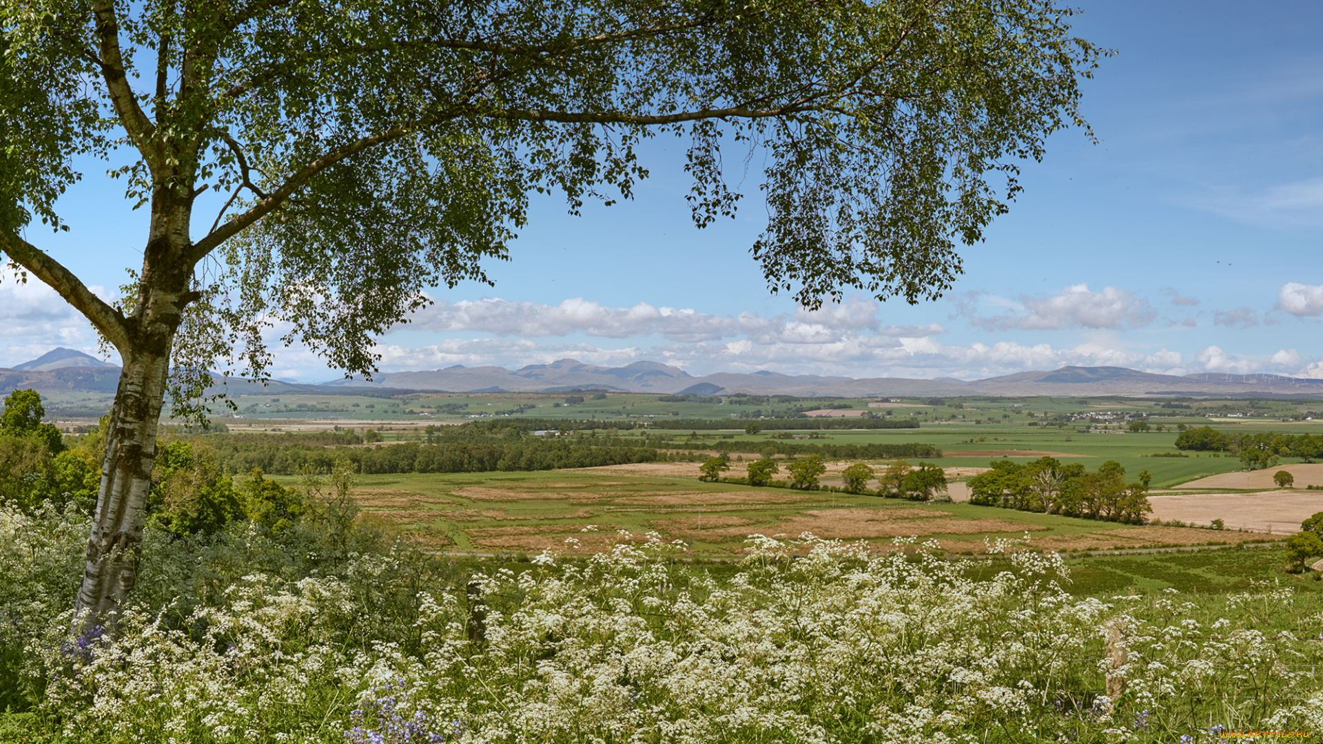 природа, пейзажи, простор