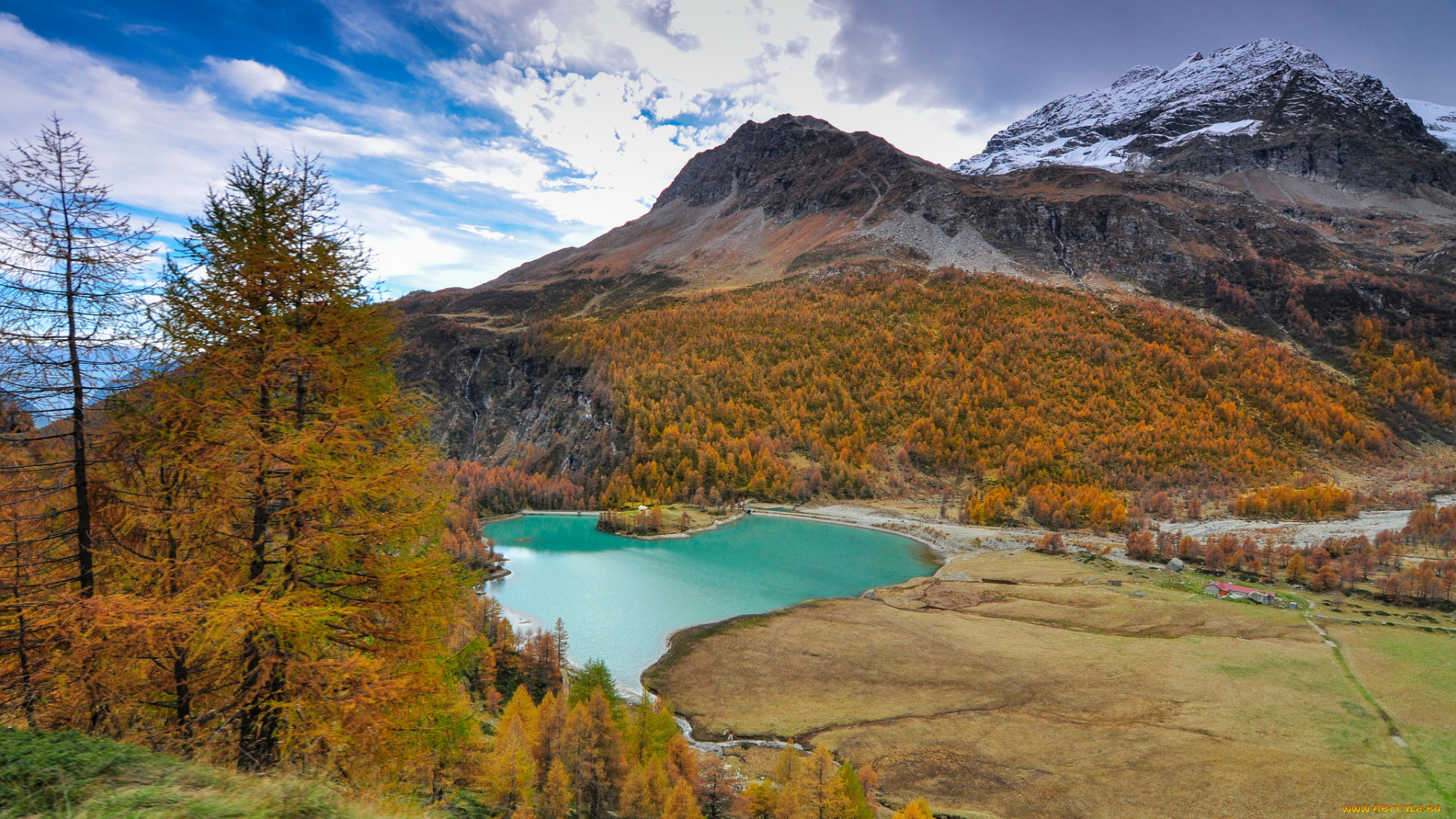 природа, реки, озера, лес, река