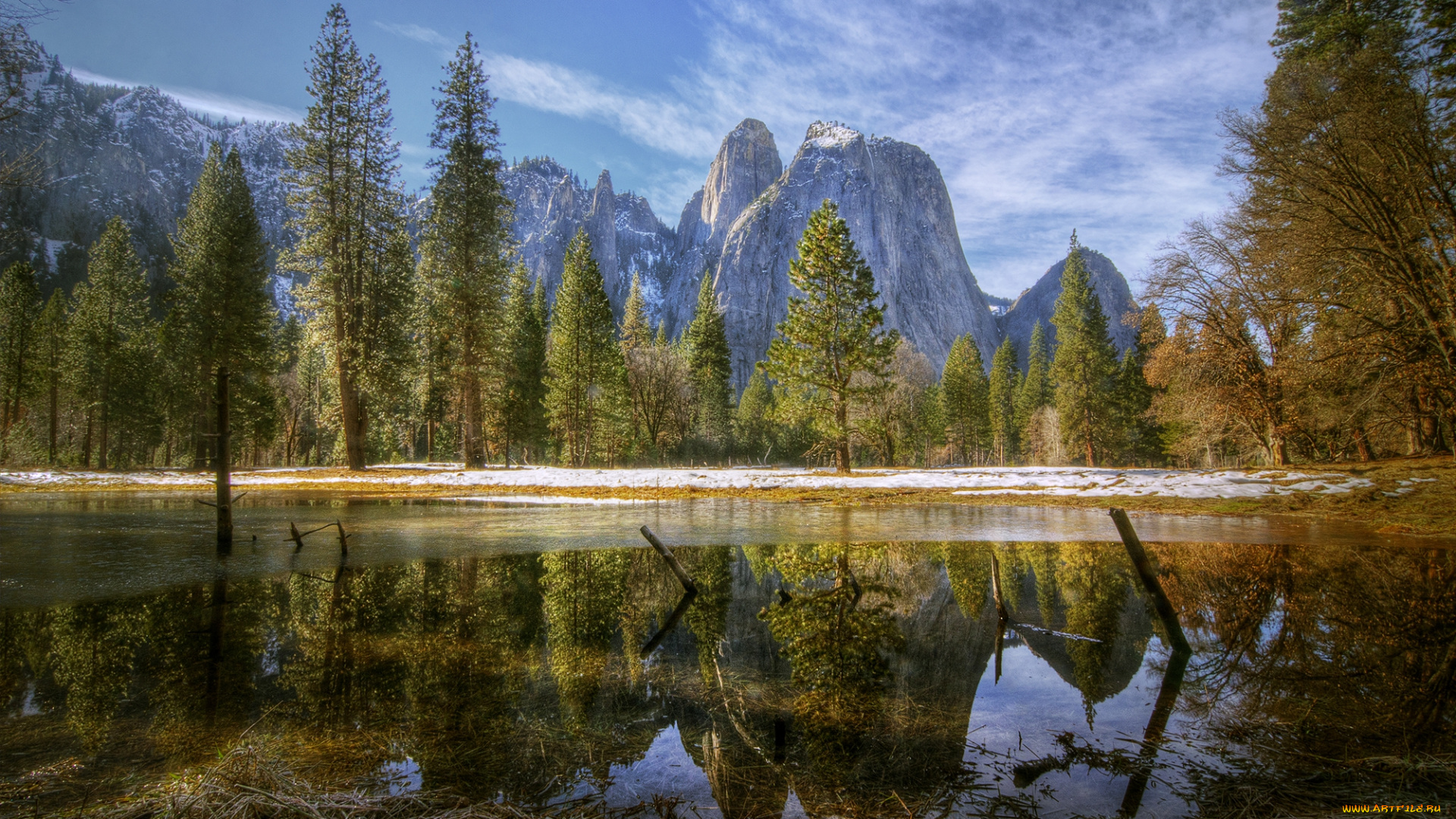 природа, реки, озера, лес, река