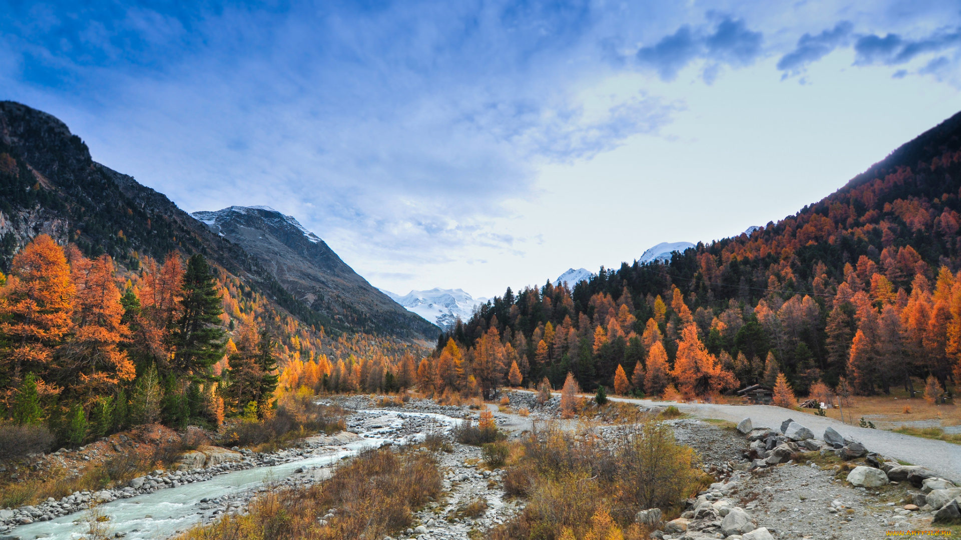 природа, реки, озера, река, лес