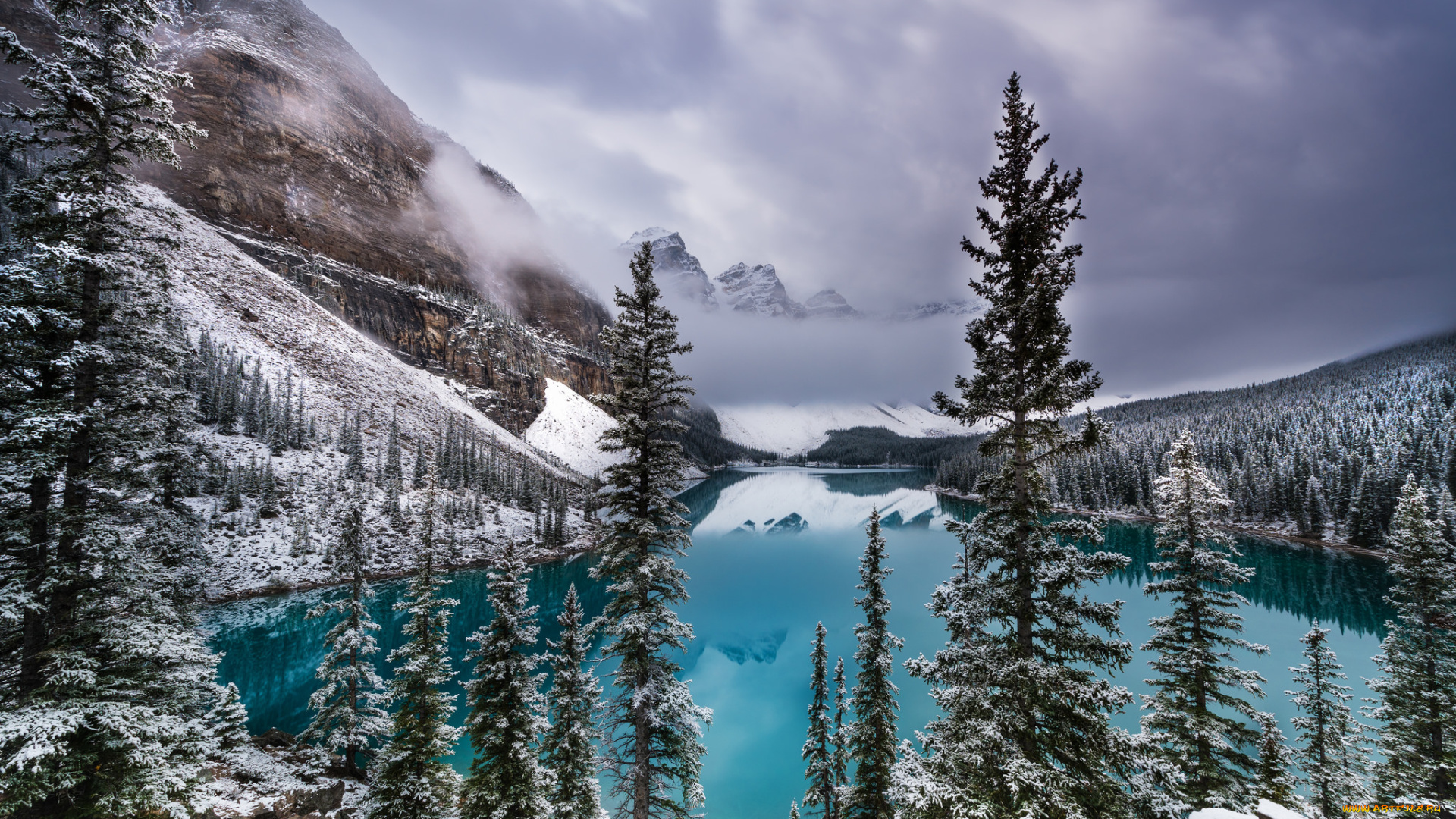 природа, реки, озера, река, лес