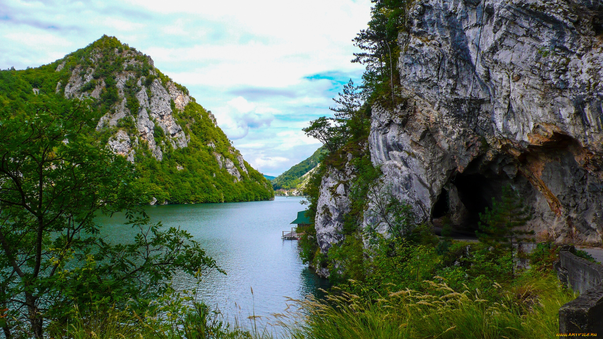 природа, реки, озера, река, лес