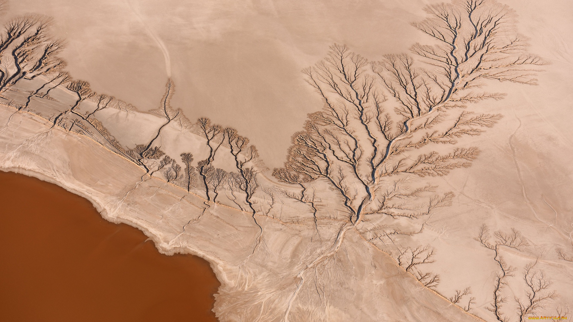 природа, реки, озера, река, мохава, берег