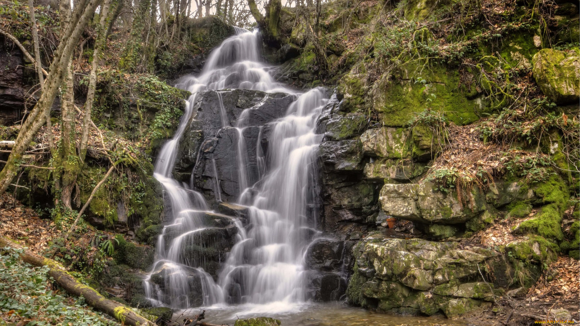 природа, водопады, водопад, река, лес