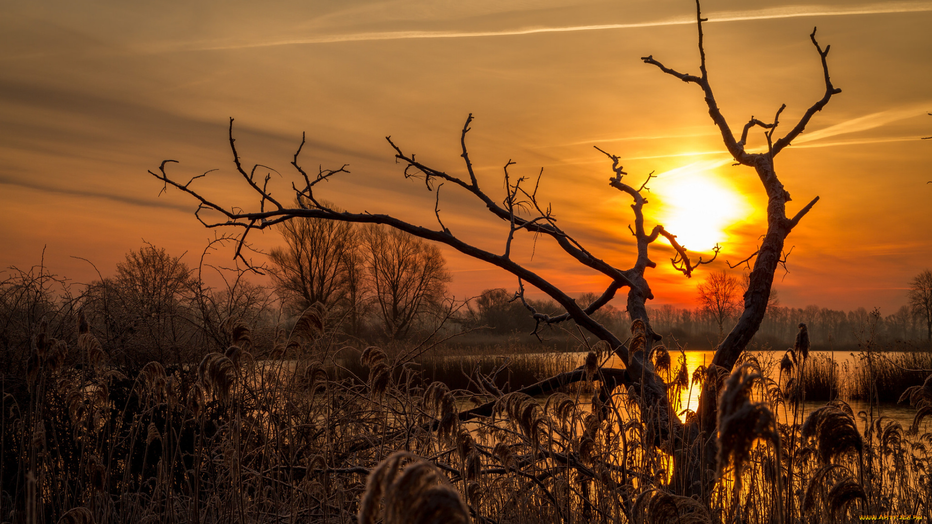 природа, восходы, закаты, рассвет